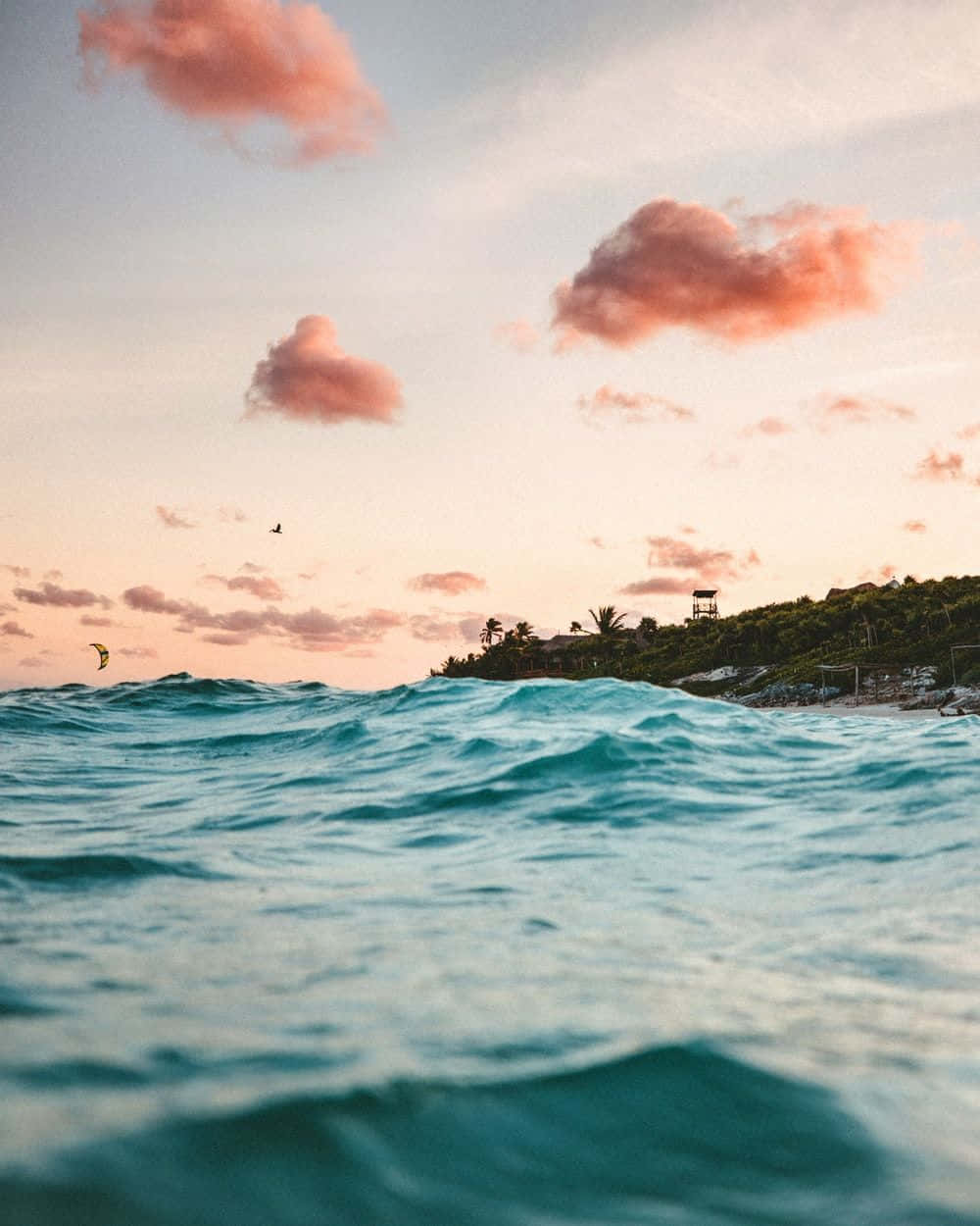 sunset, ocean waves, pink clouds, SD Phone Wallpaper