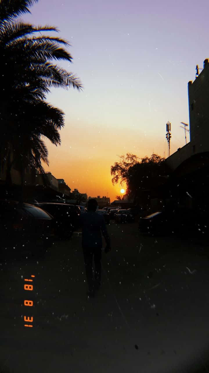 palm-lined street, sun sets, buildings, HD Phone Wallpaper