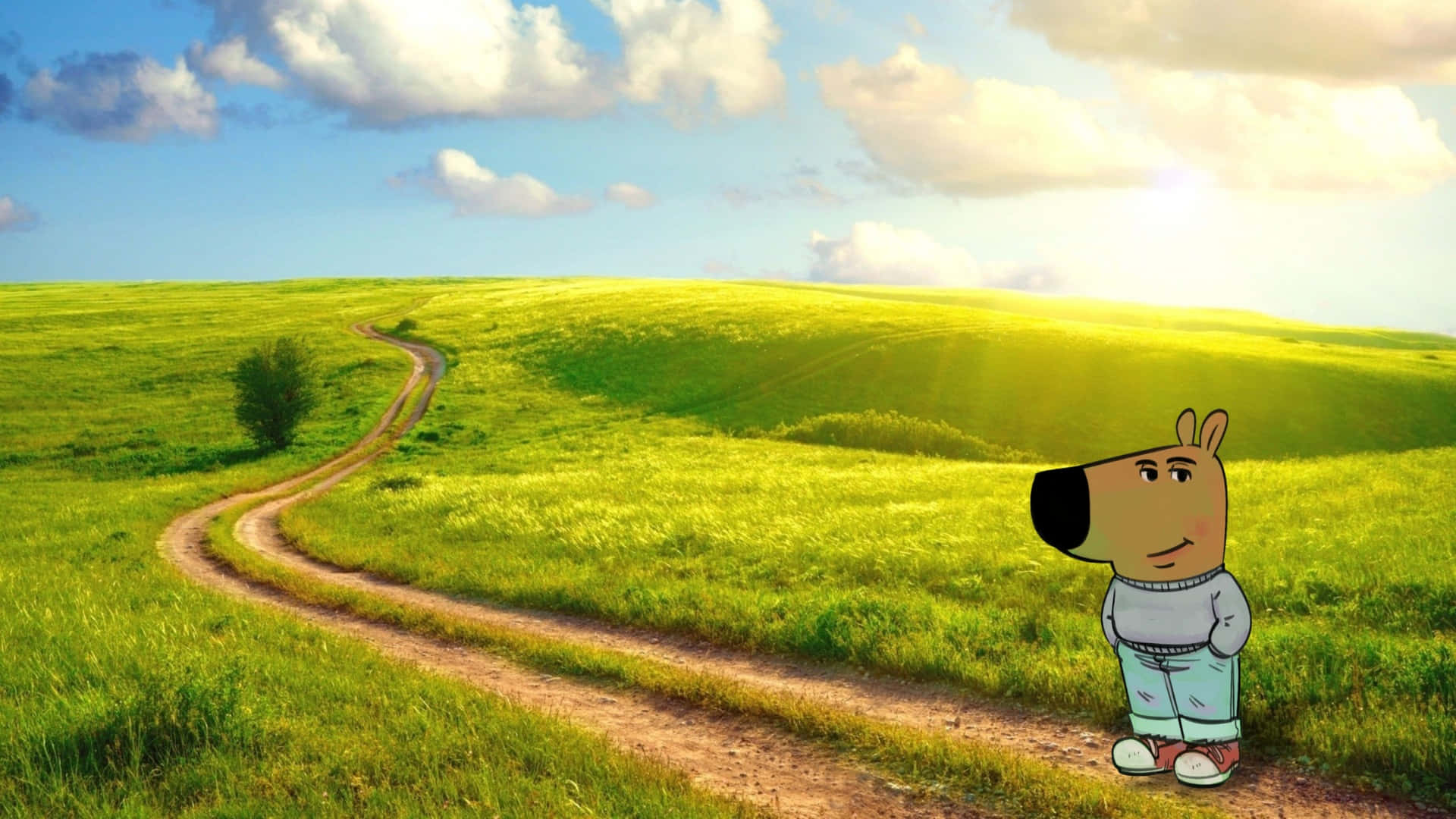 Chill Guy, cartoon dog, winding dirt path, Full HD Desktop Wallpaper