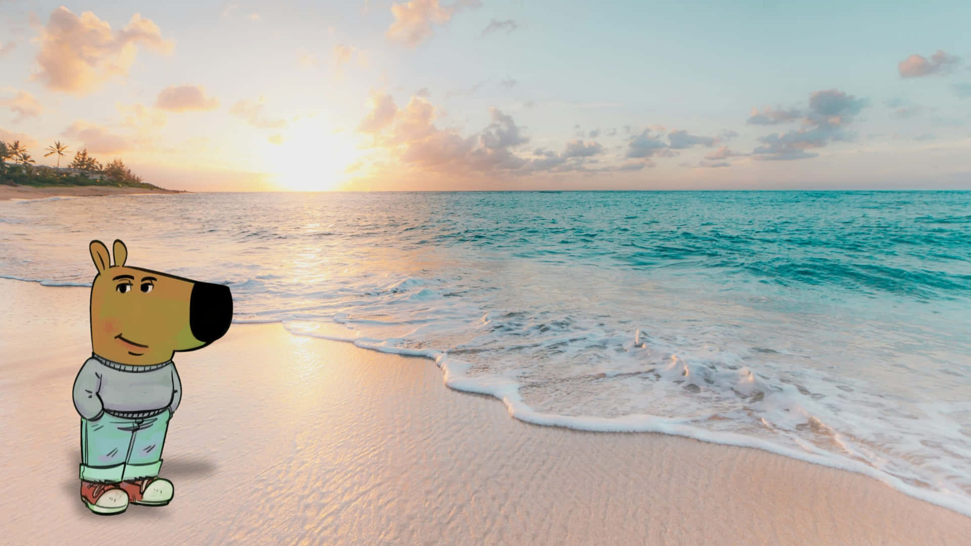 Chill Guy, beach, sandy beach, Full HD Desktop Wallpaper