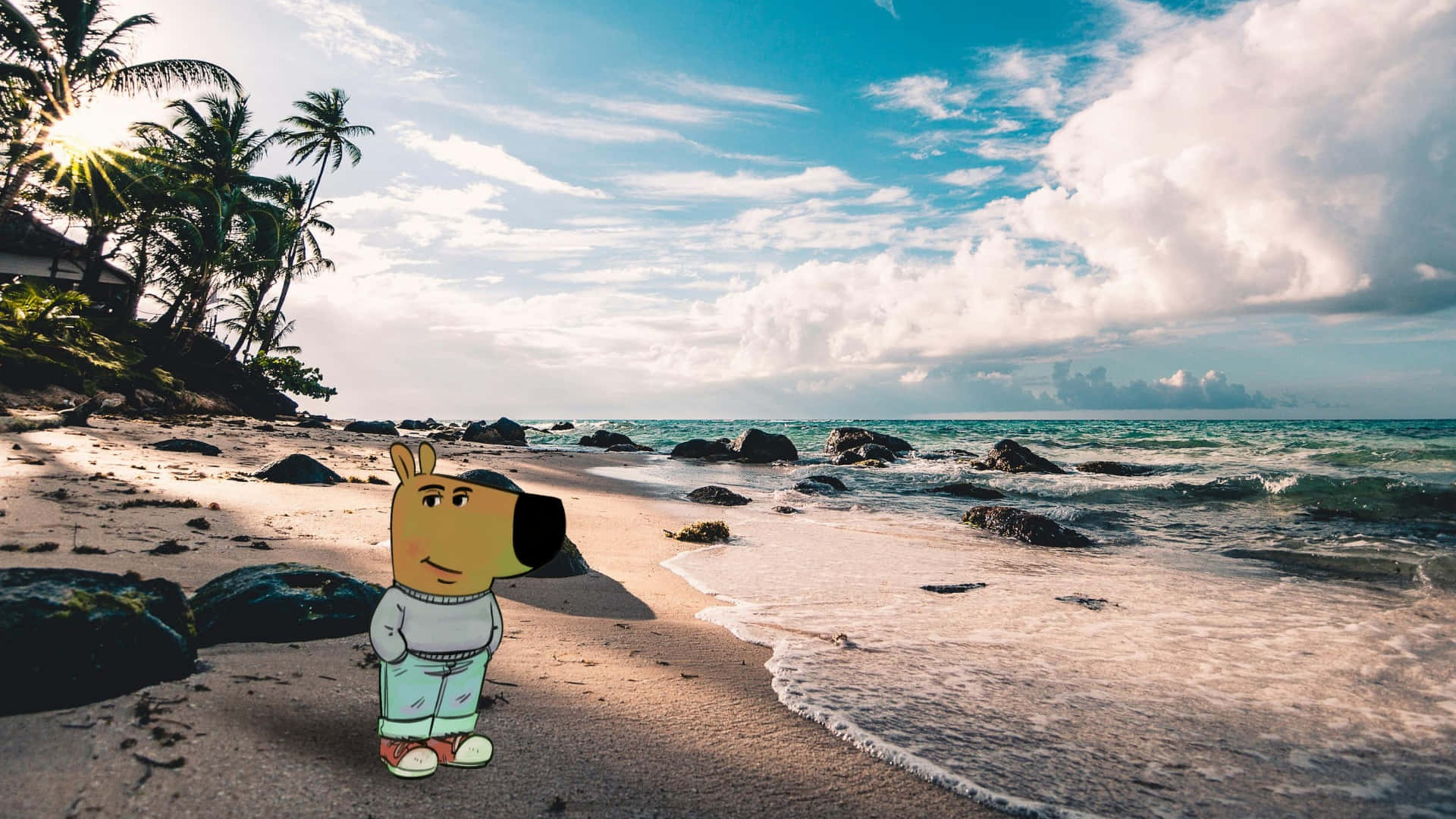 Chill Guy, beach, sandy beach, Full HD Desktop Wallpaper