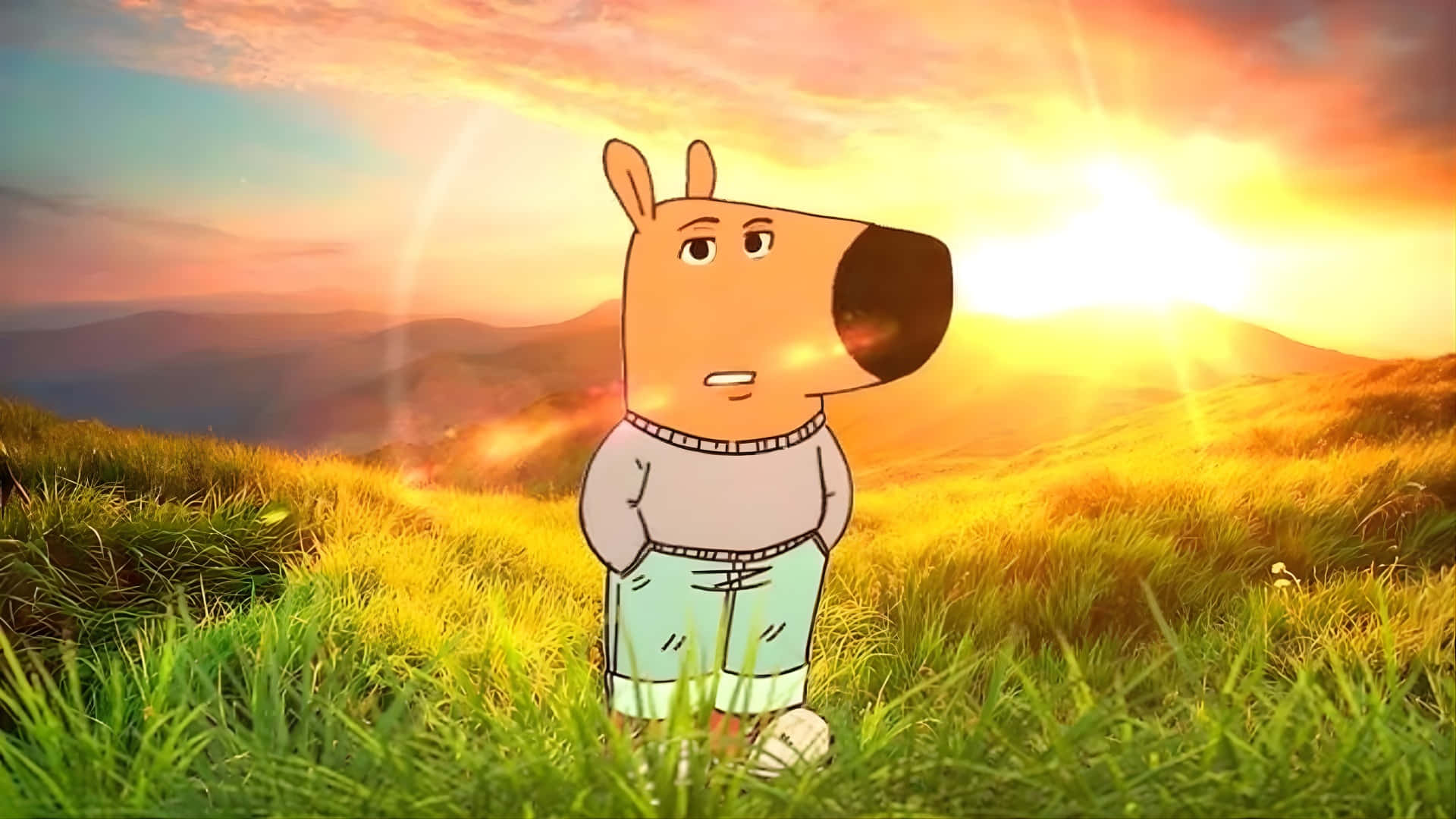 Chill Guy, cartoon dog, grassy field, Full HD Desktop Wallpaper