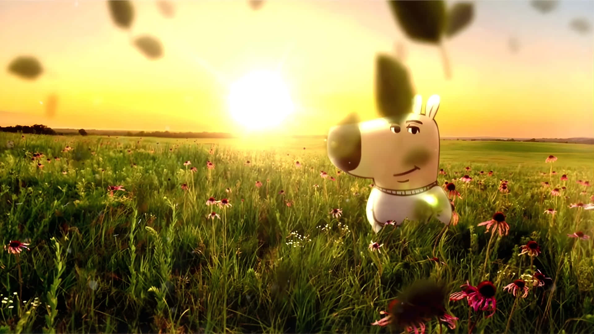 Chill Guy, sunlit field, tall grass, Full HD Desktop Wallpaper