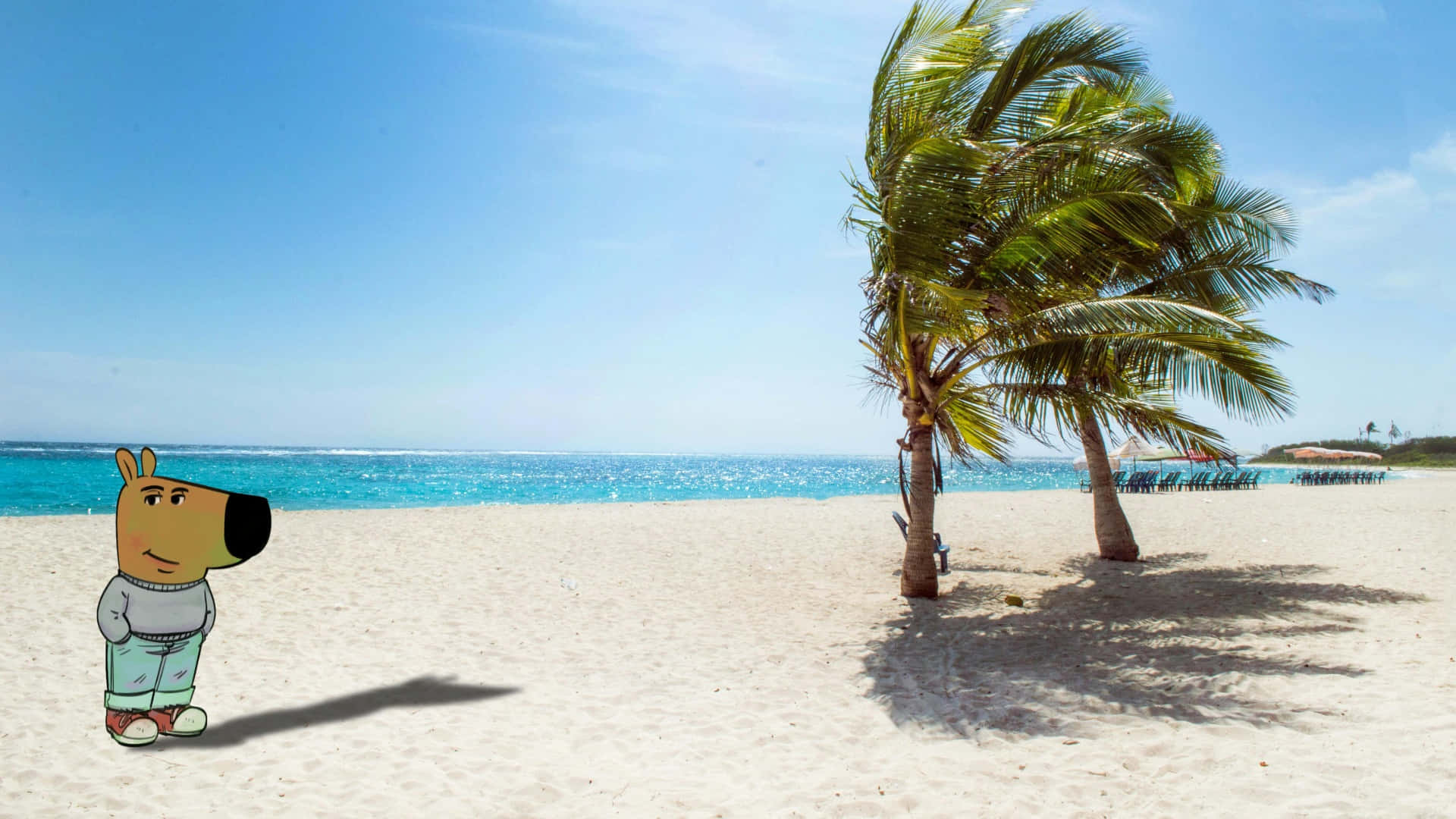 Chill Guy, sunny beach, swaying palm trees, Full HD Desktop Wallpaper