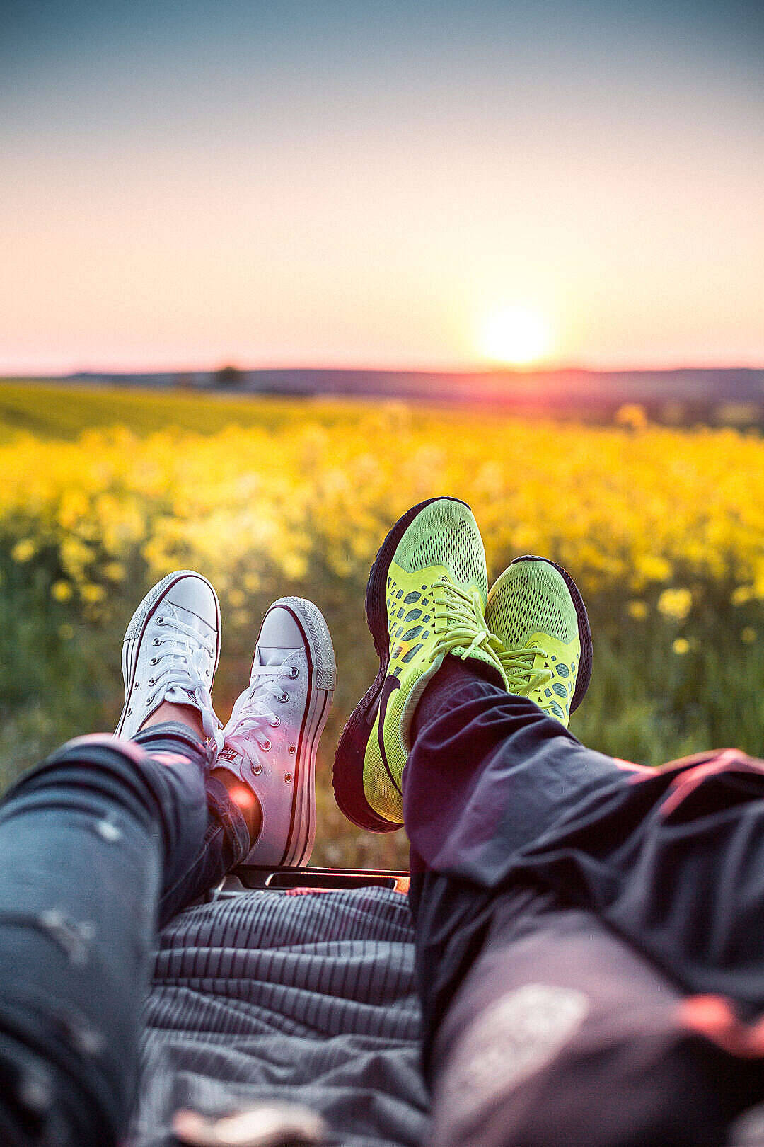 golden field, sunset, two people, HD Phone Wallpaper