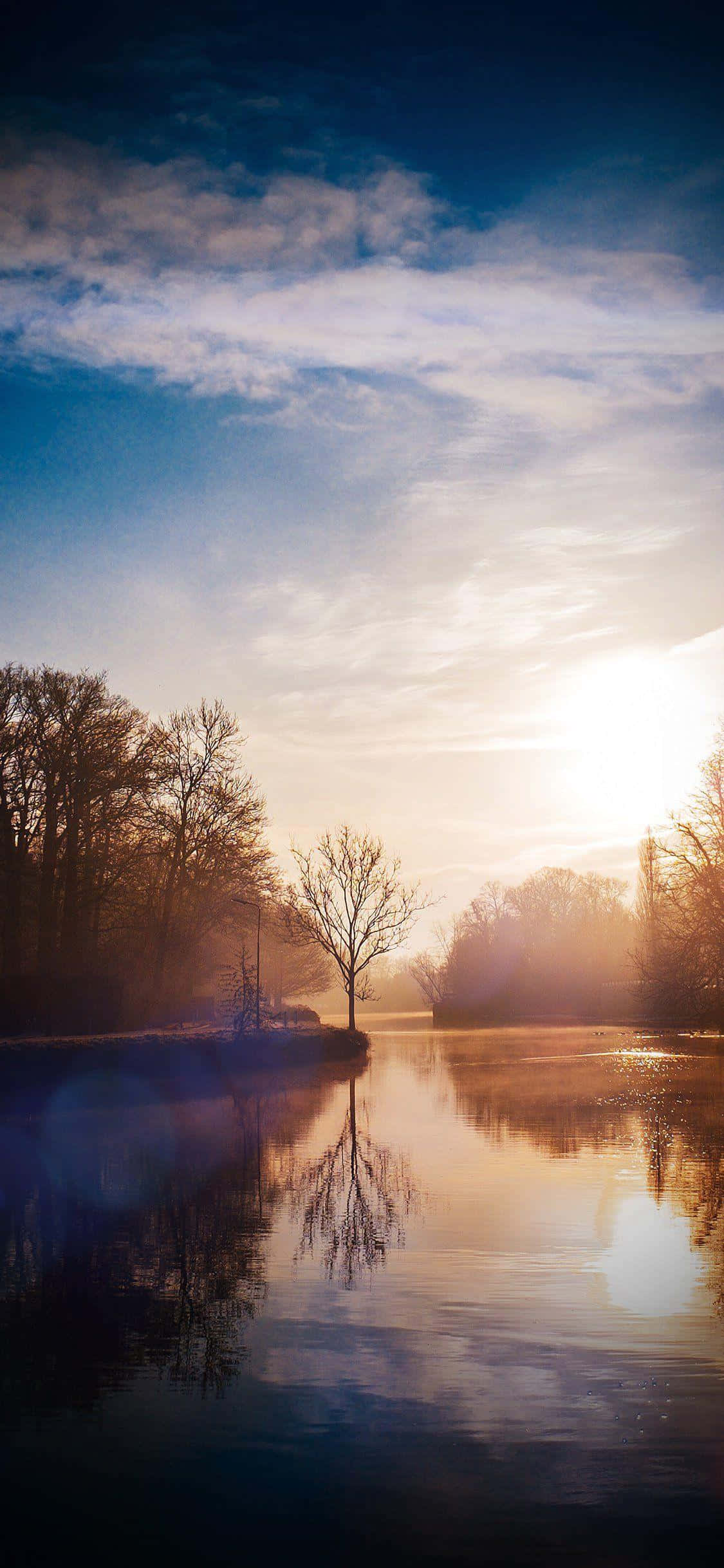 Sunrise, misty river, bare trees, Full HD Phone Wallpaper