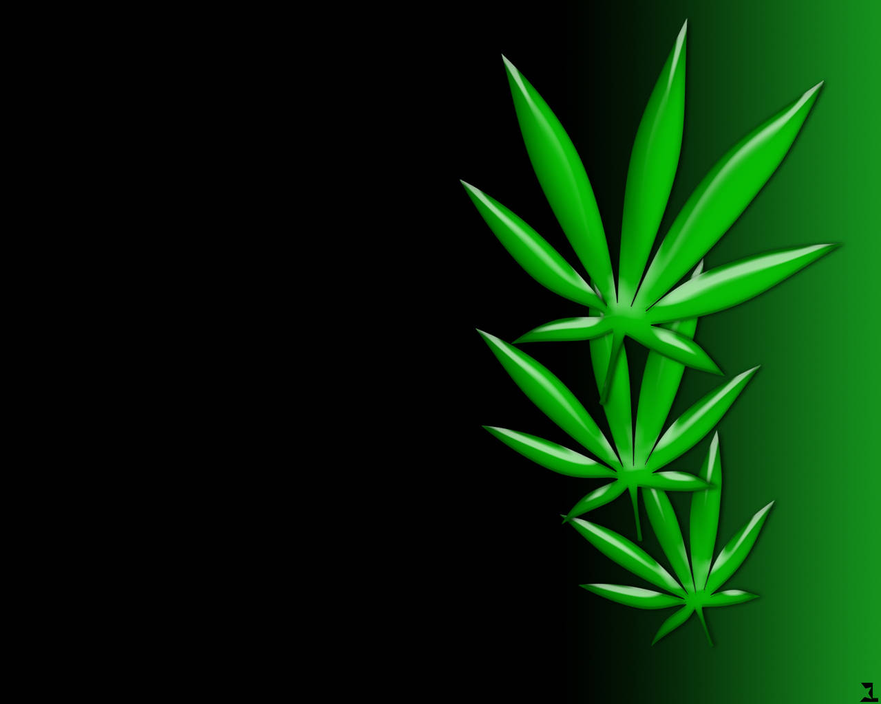 Chill Stoner, weeds, vibrant green cannabis leaves, HD Desktop Wallpaper