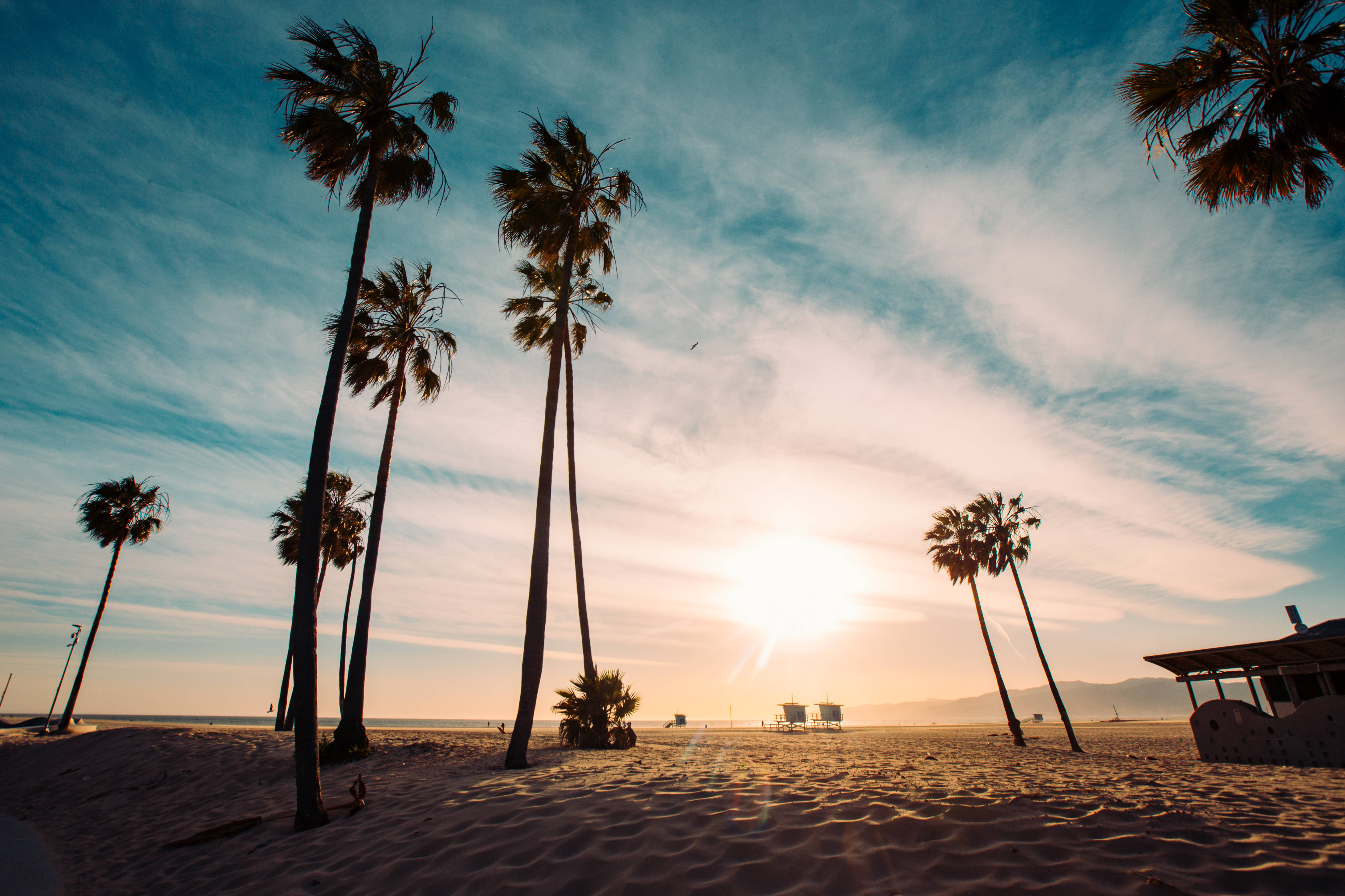palm trees, sandy beach, sunet, 5K Desktop Wallpaper