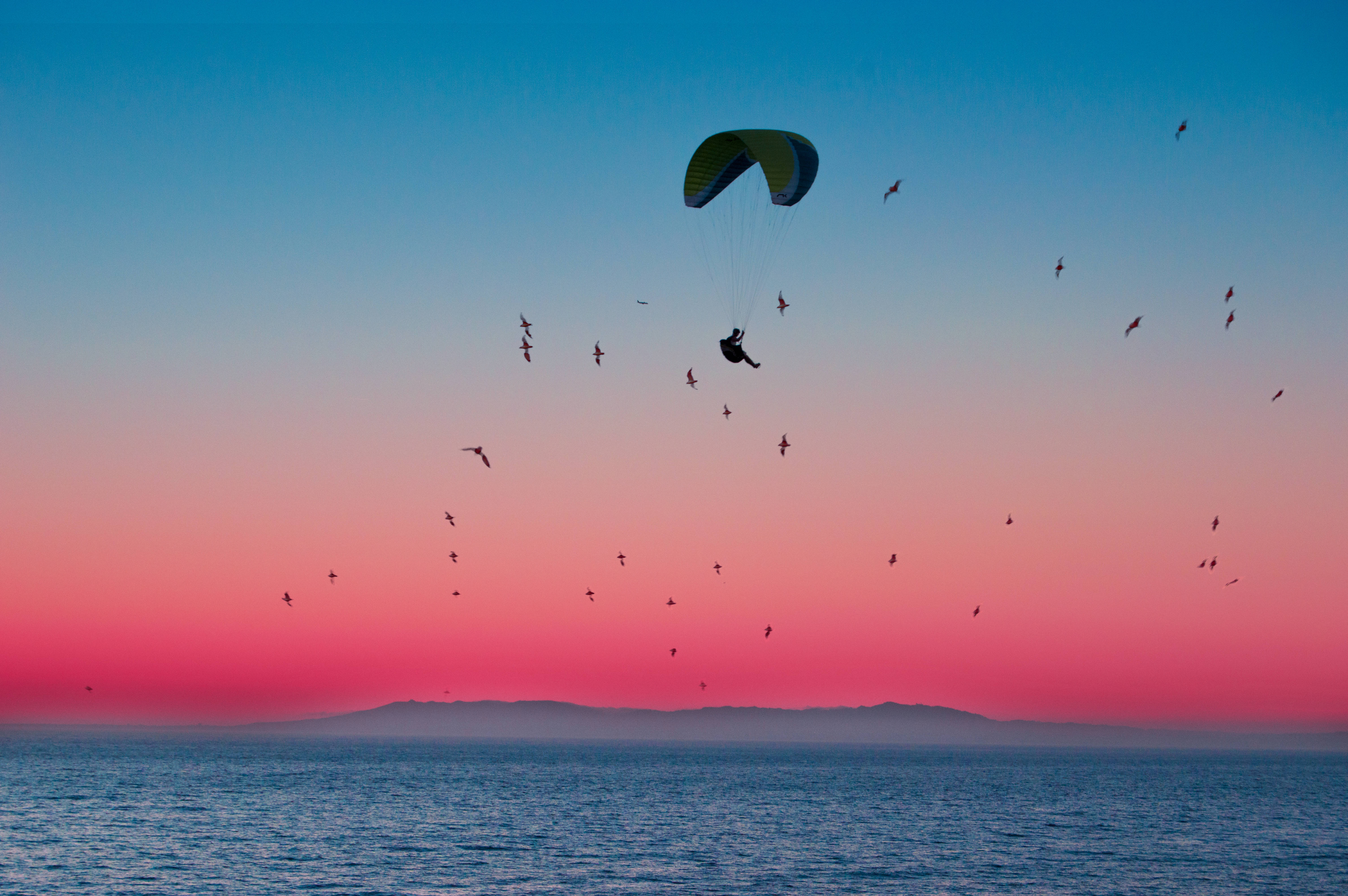 paragliding, sunset, calm ocean, 5K Desktop Wallpaper