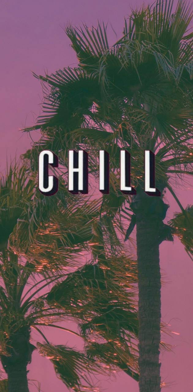 Chill, palm trees, pink sky, HD Phone Wallpaper