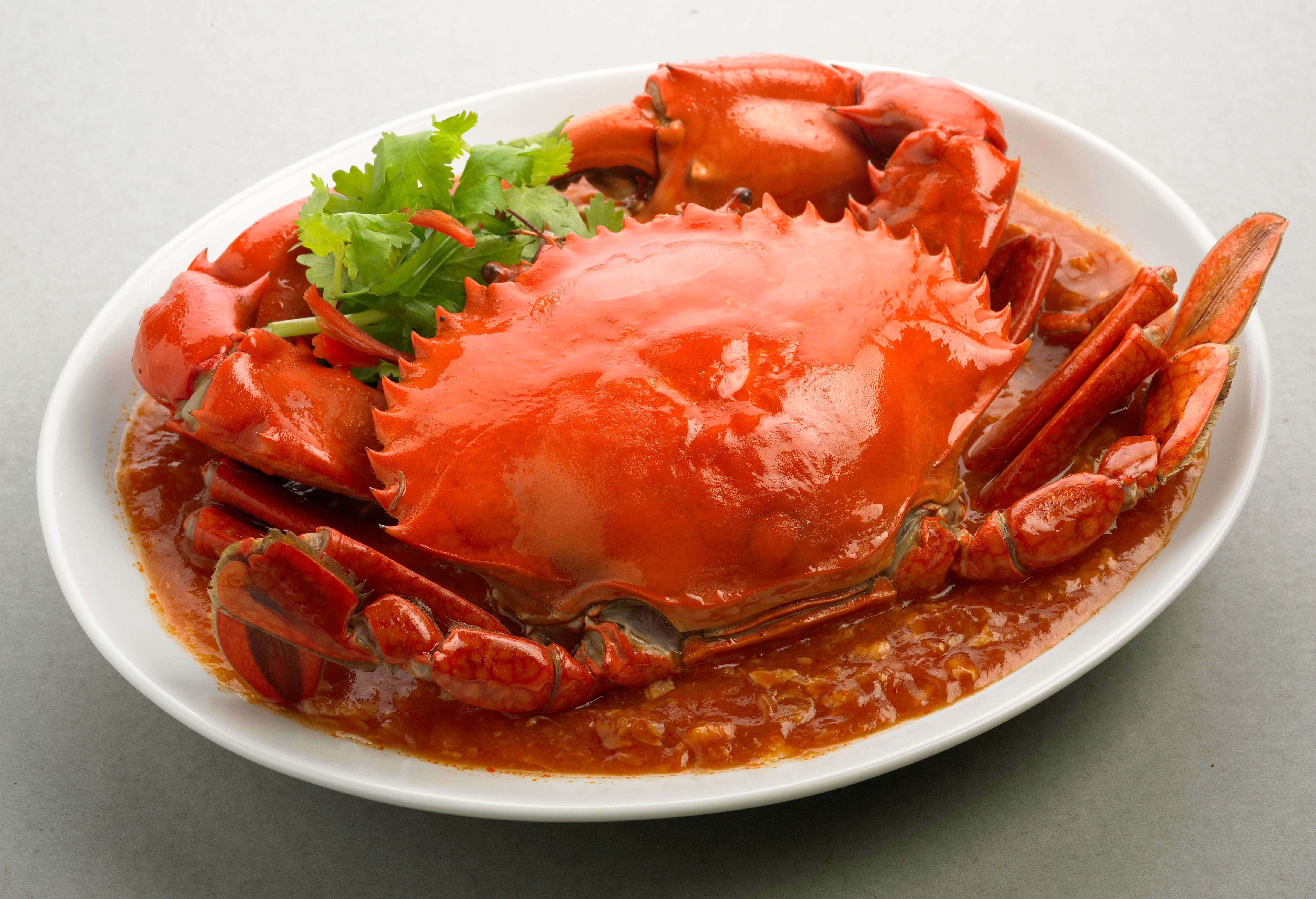fresh chilli crab, white platter, glossy red cooked crab, 4K Desktop Wallpaper