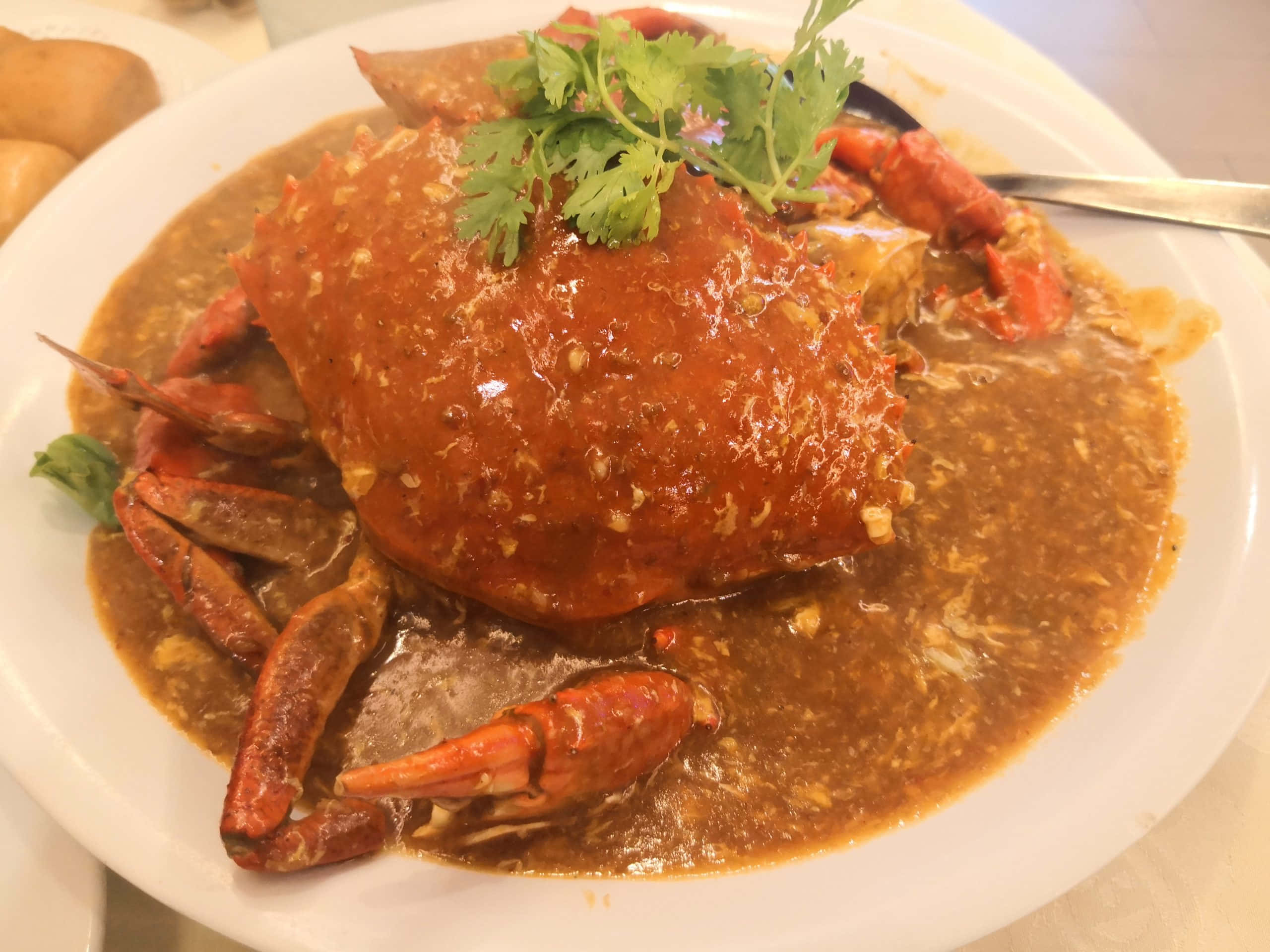 Chilli Crab, egg drop, rich red curry sauce, 2K Desktop Wallpaper