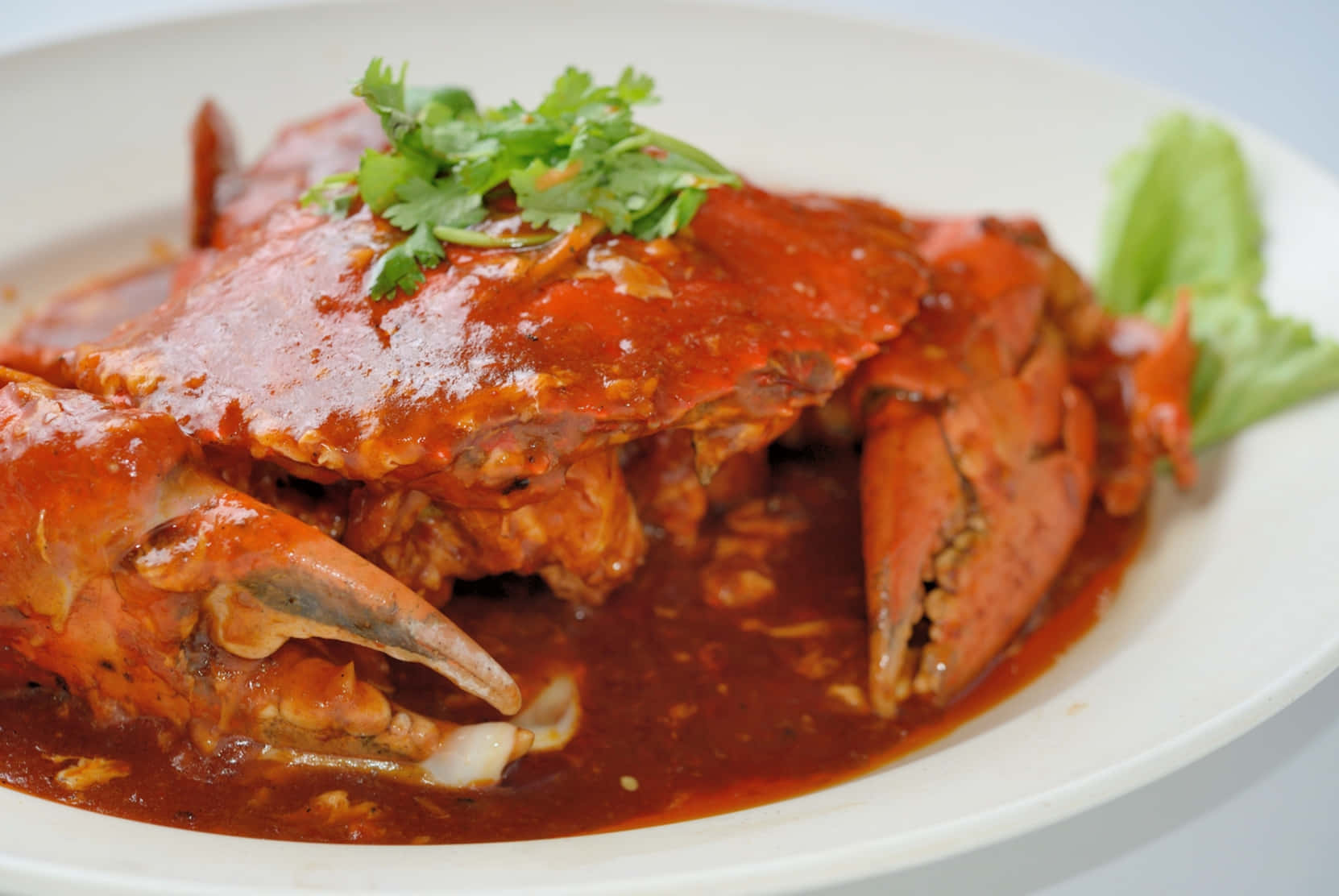 Chilli Crab, red sauce, fresh cilantro, HD Desktop Wallpaper