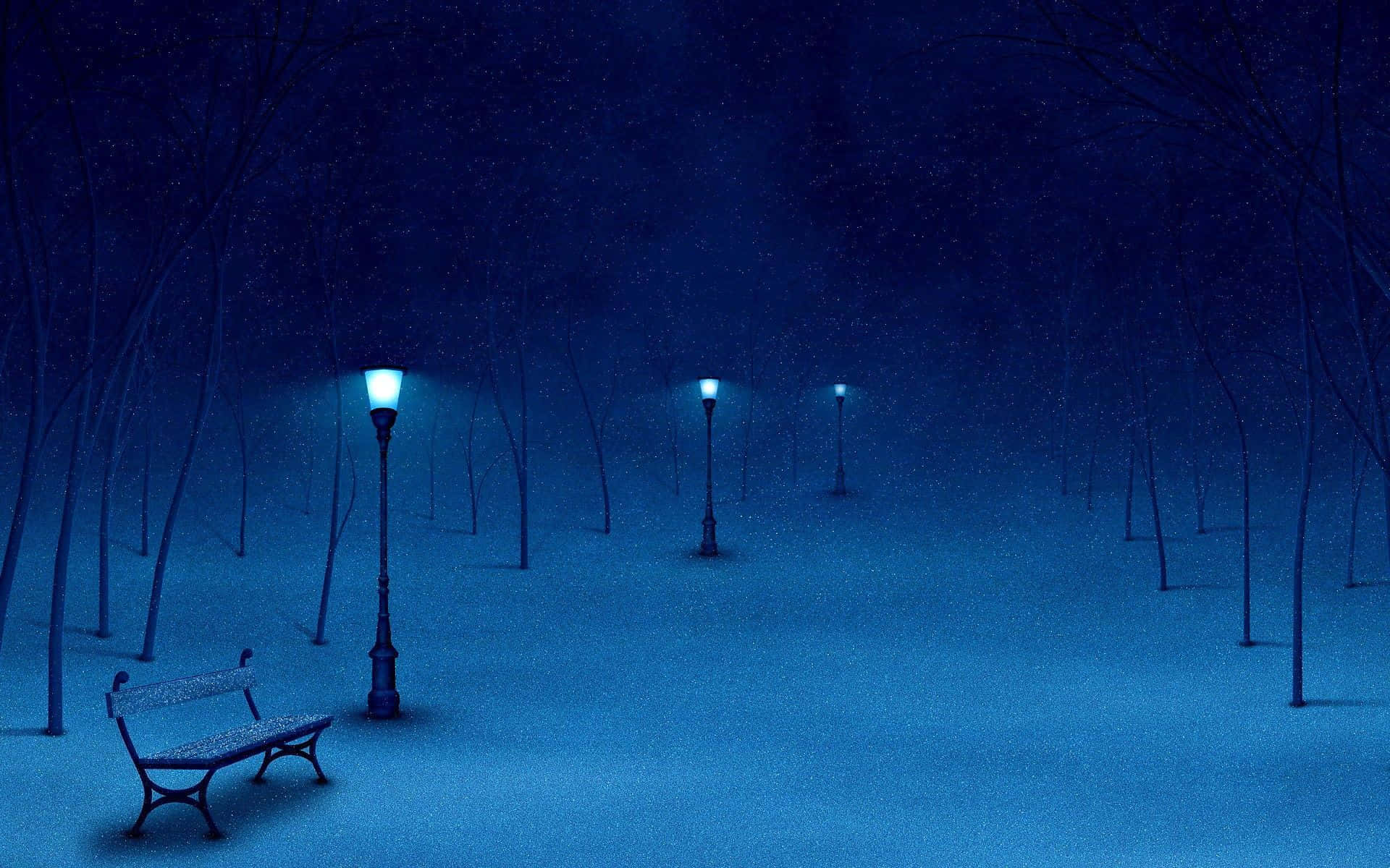 winter night, woodland, snowy park, Full HD Desktop Wallpaper