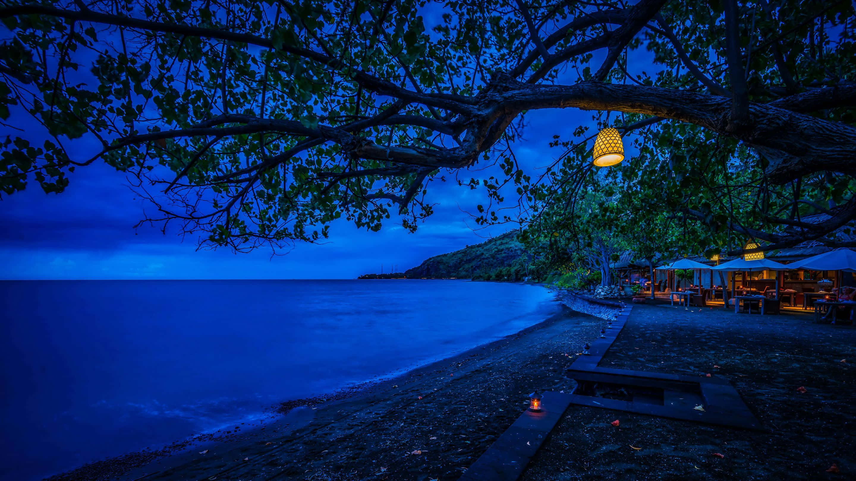 Chilly Night, twilight beach, glowing lantern, 2K Desktop Wallpaper