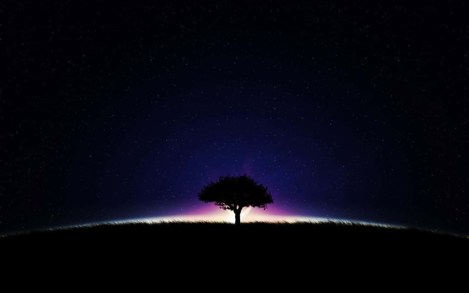 chilly night, starry night sky, lone tree silhouette, HD Desktop Wallpaper