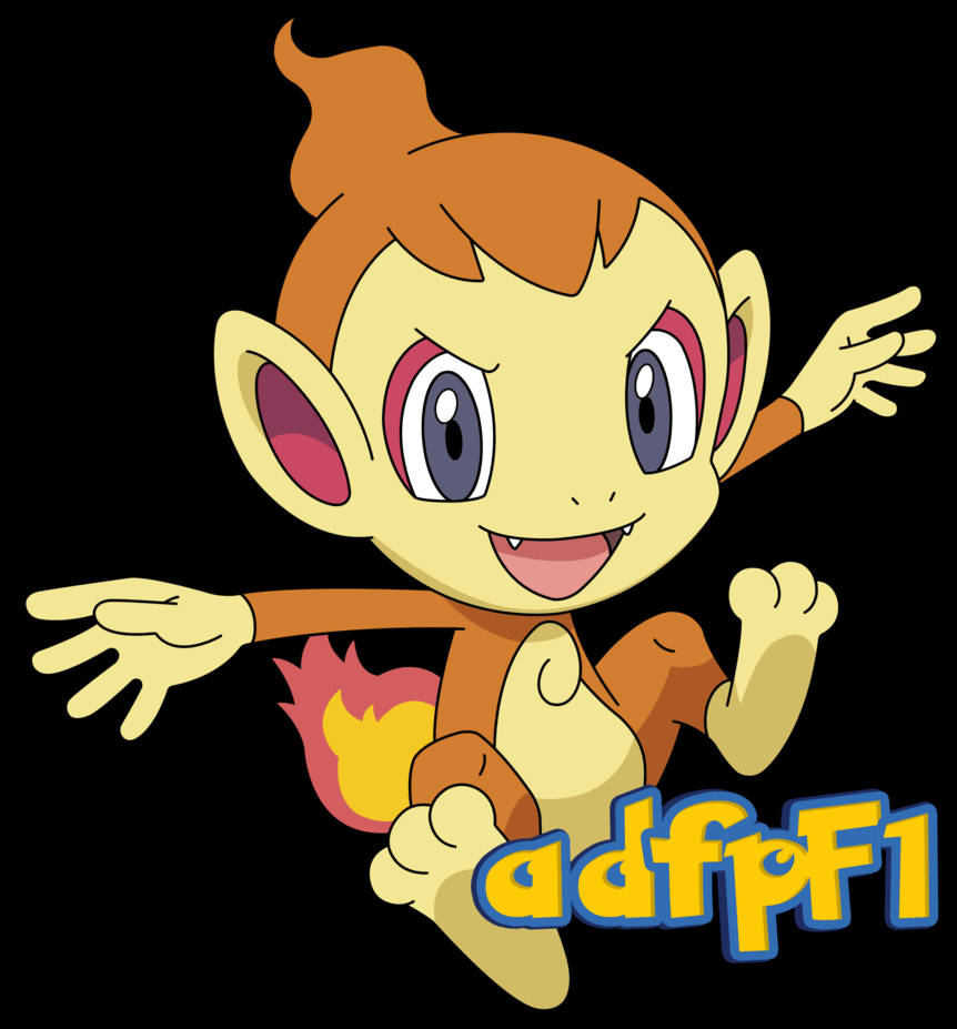 Chimchar, fire type, orange hair, SD Phone Wallpaper