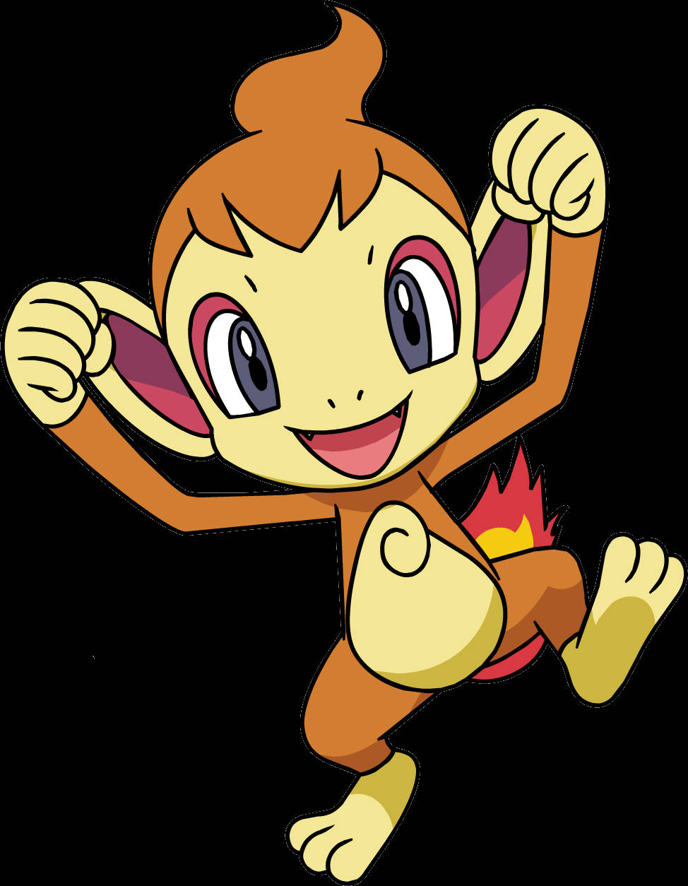 Chimchar, orange fur, flame tail, SD Phone Wallpaper