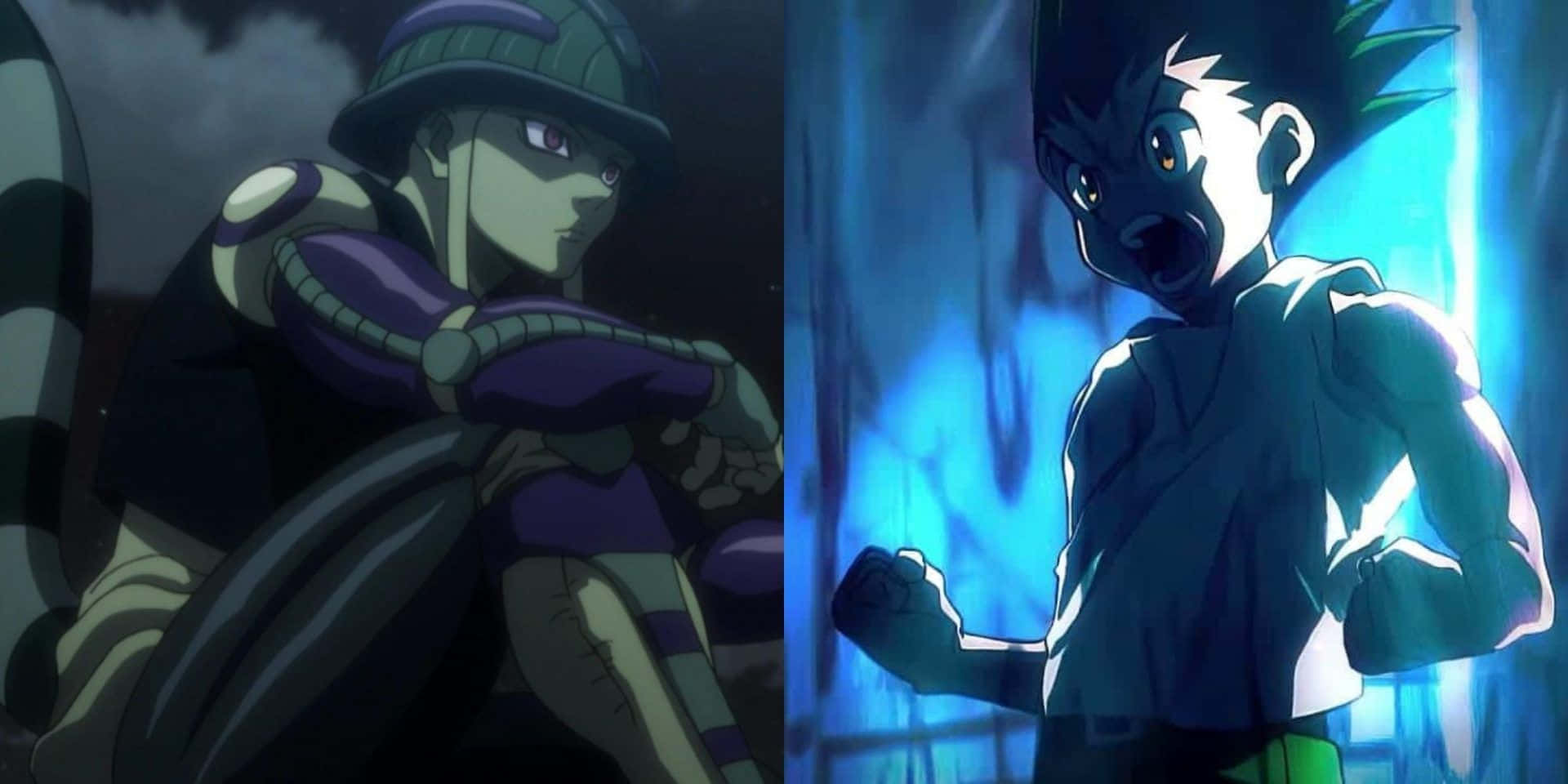 Chimera Ants, anime characters, split-screen scene, Full HD Desktop Wallpaper
