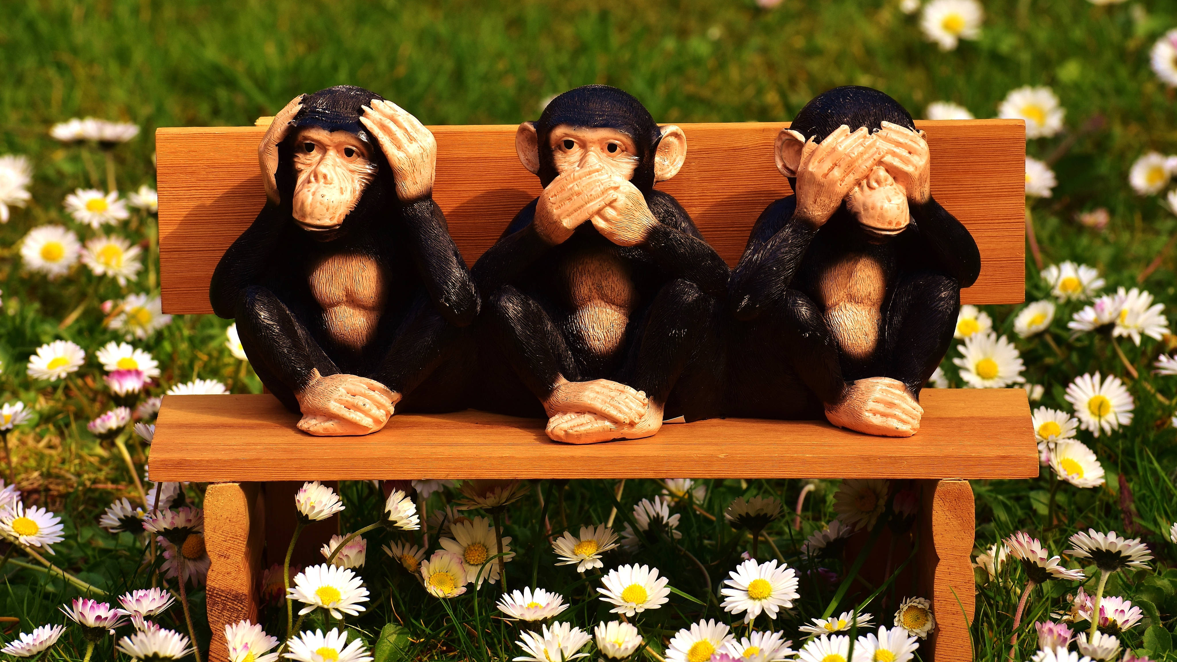 wooden chimpanzees, bench, flowers, 4K Desktop Wallpaper