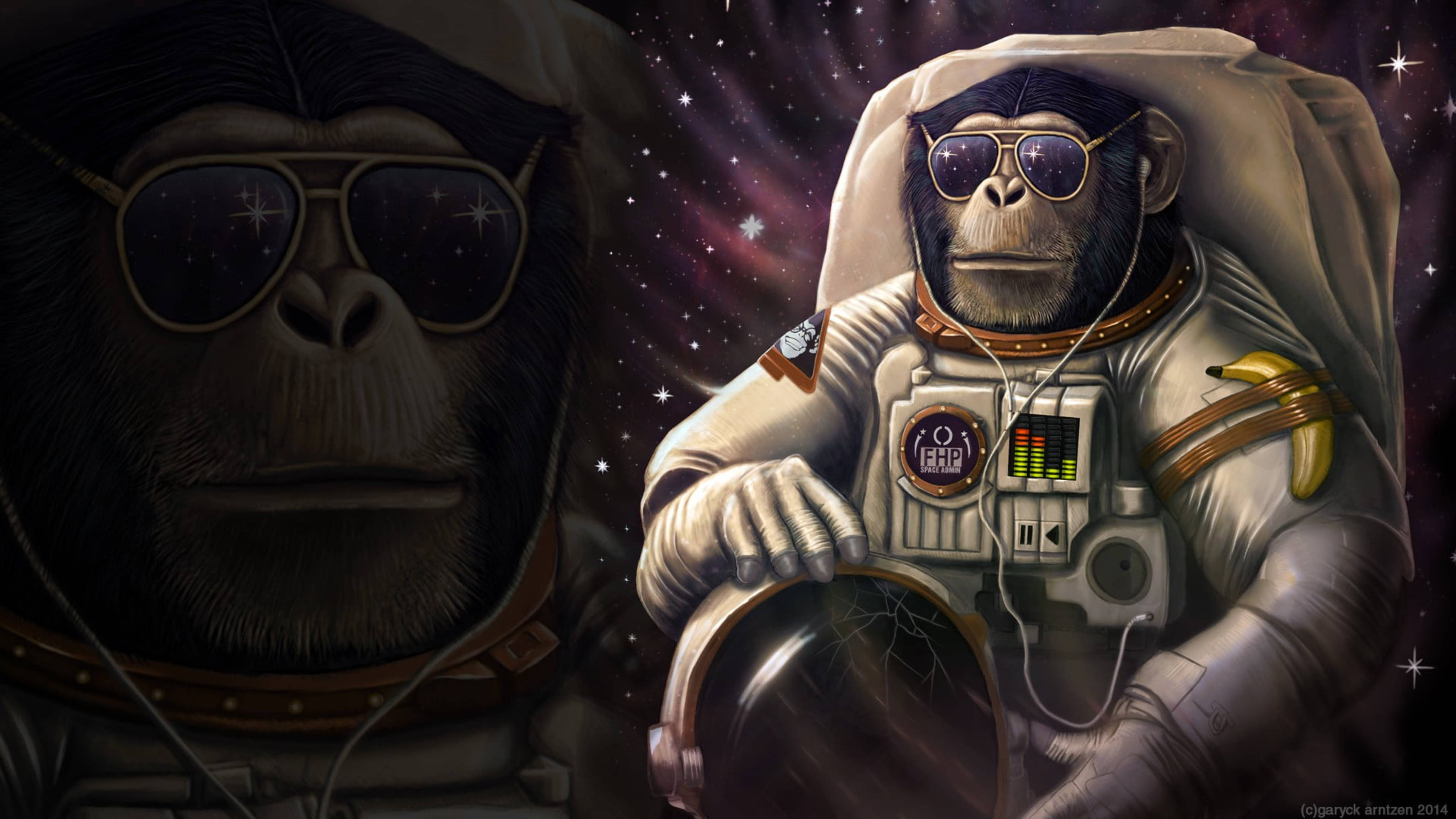 Space Chimpanzee, astronaut suits, sunglasses, 4K Desktop Wallpaper