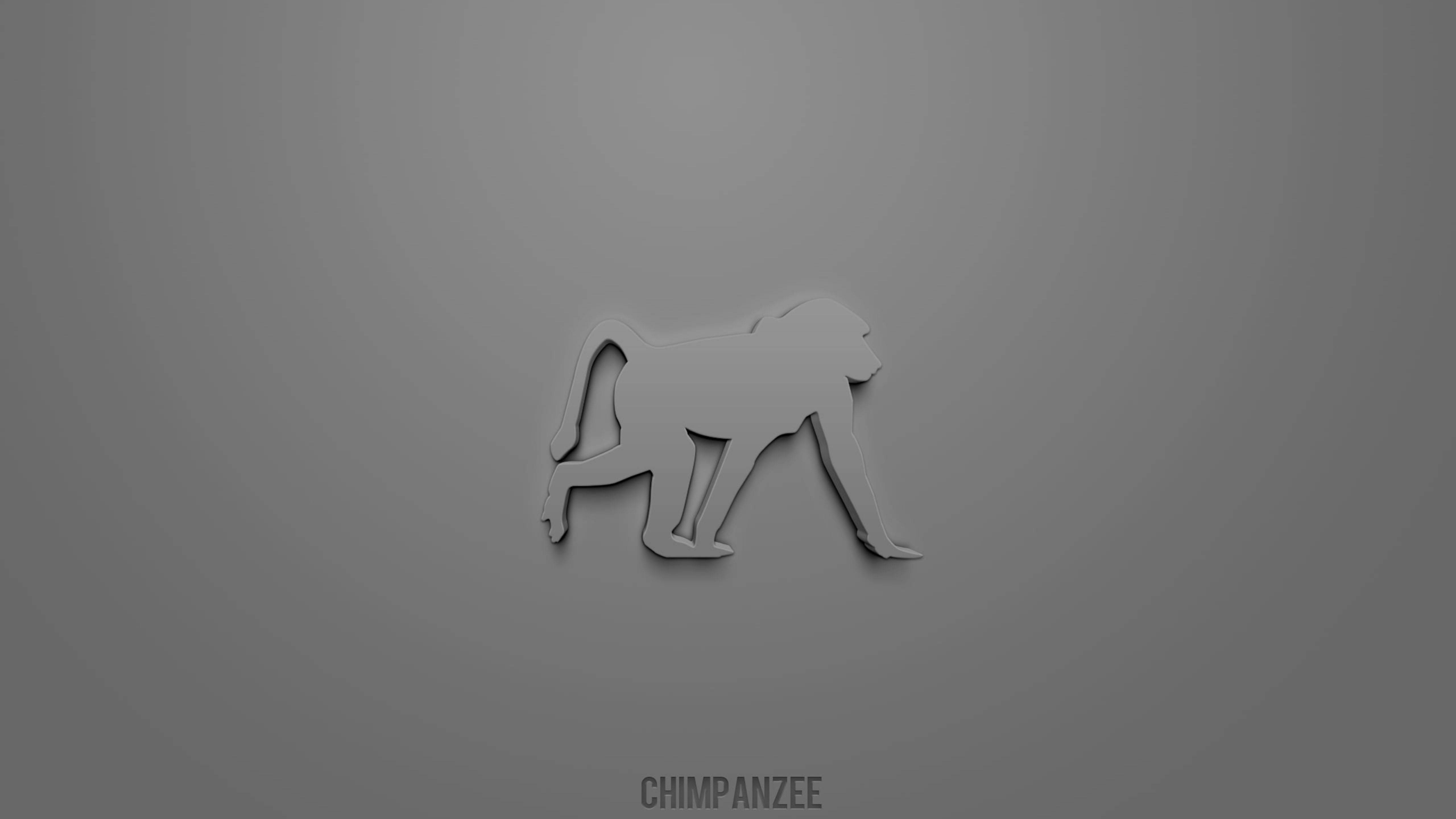 chimpanzee, 3D icon, minimalist gray silhouette, 5K Desktop Wallpaper