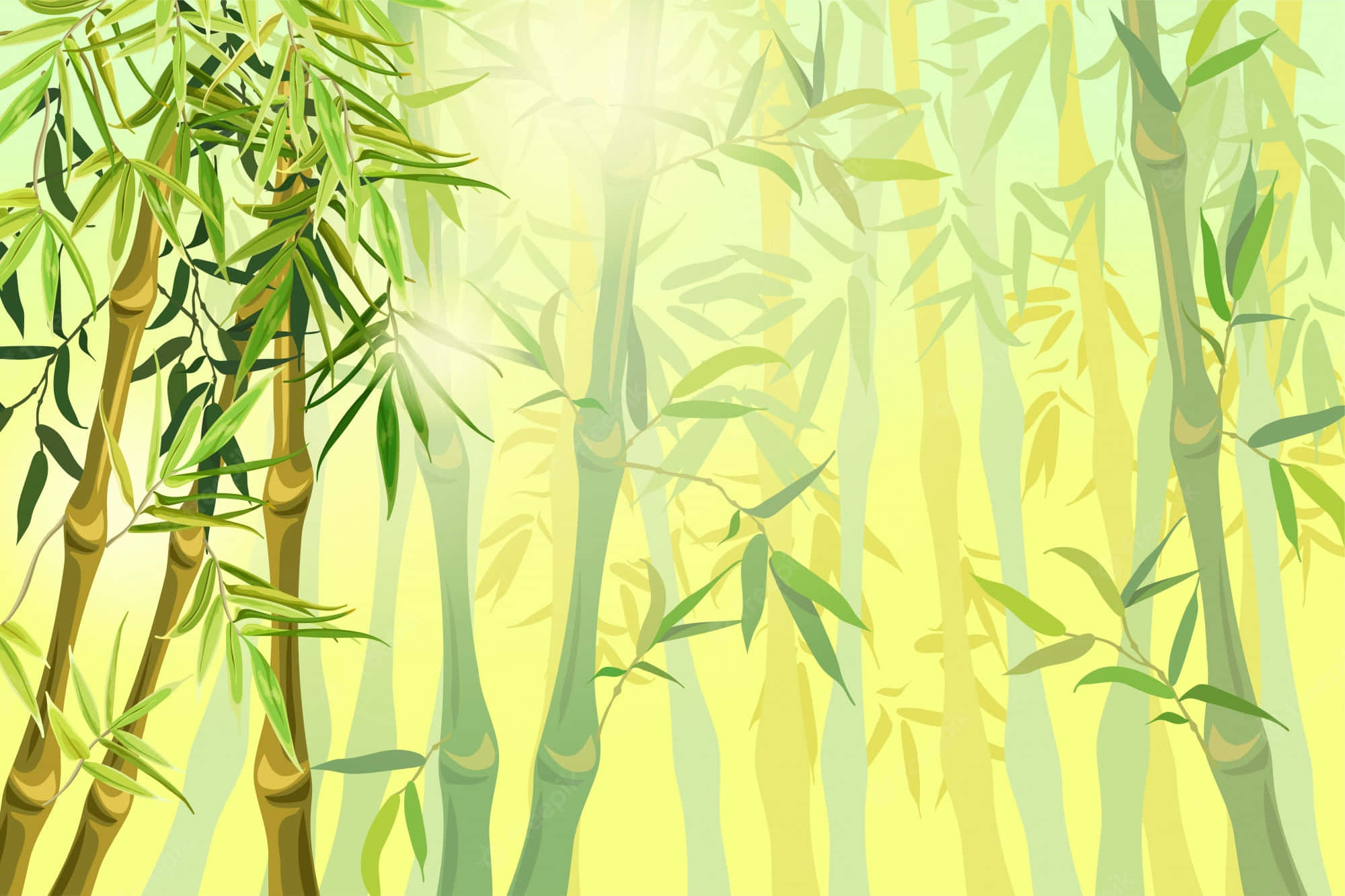 Chinese Bamboo, sunlight, tall green bamboo stalks, Full HD Desktop Wallpaper