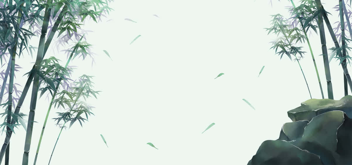 Chinese Bamboo, bamboo trees, forest, SD Desktop Wallpaper