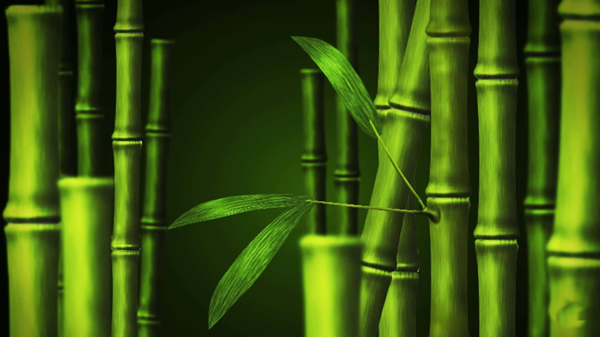green bamboo, vibrant green bamboo stalks, leaves, Full HD Desktop Wallpaper