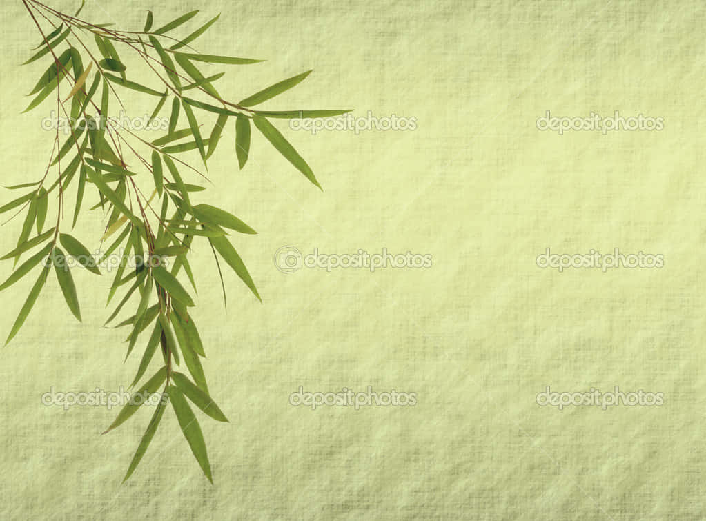 Chinese Bamboo, pale green, vintage grain, SD Desktop Wallpaper