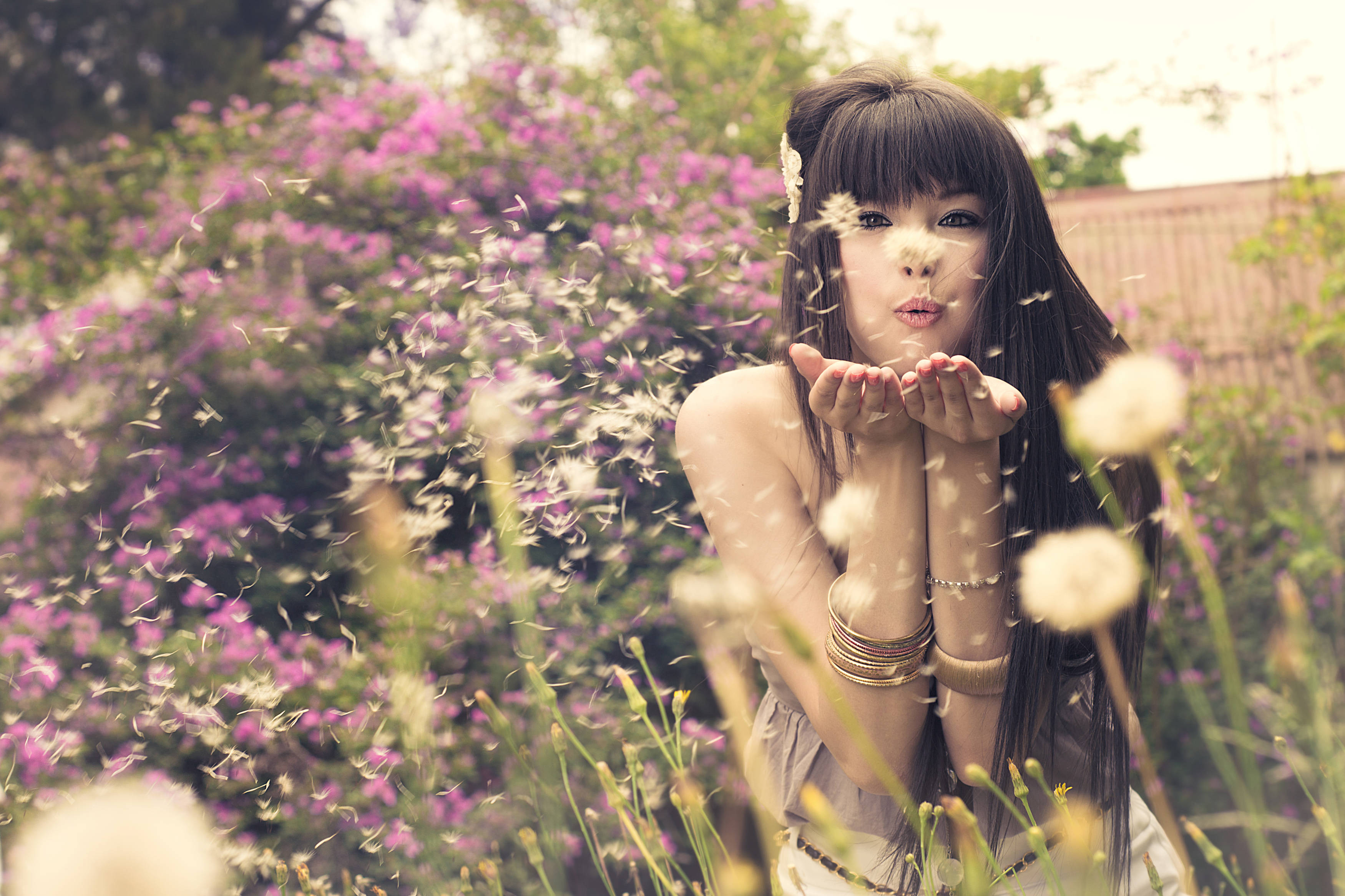 Chinese Woman, dandelions, sunlit garden, 2K Desktop Wallpaper