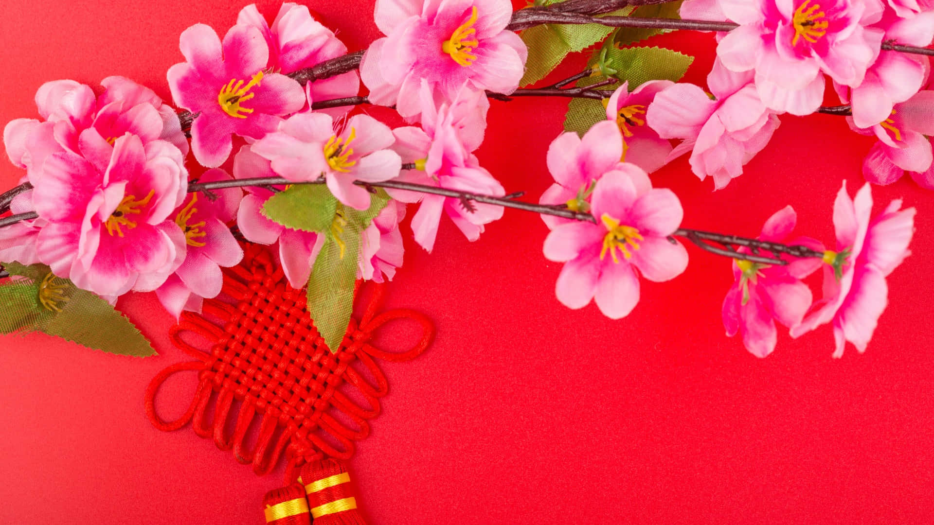Chinese Knots, cherry blossoms, pink cherry blossoms, Full HD Desktop Wallpaper