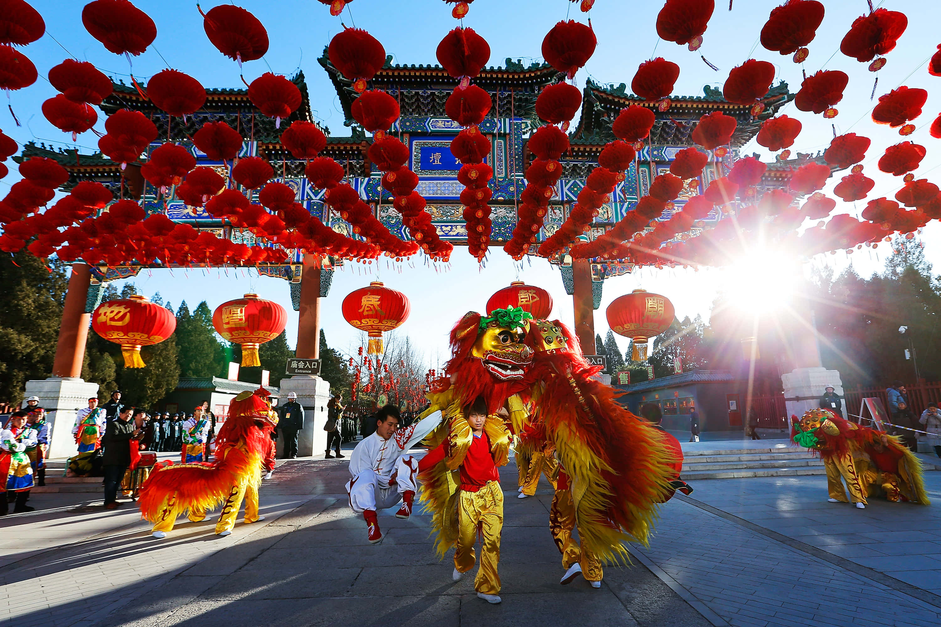 Chinese New Year 2022, dragon dance, lion dance, 2K Desktop Wallpaper