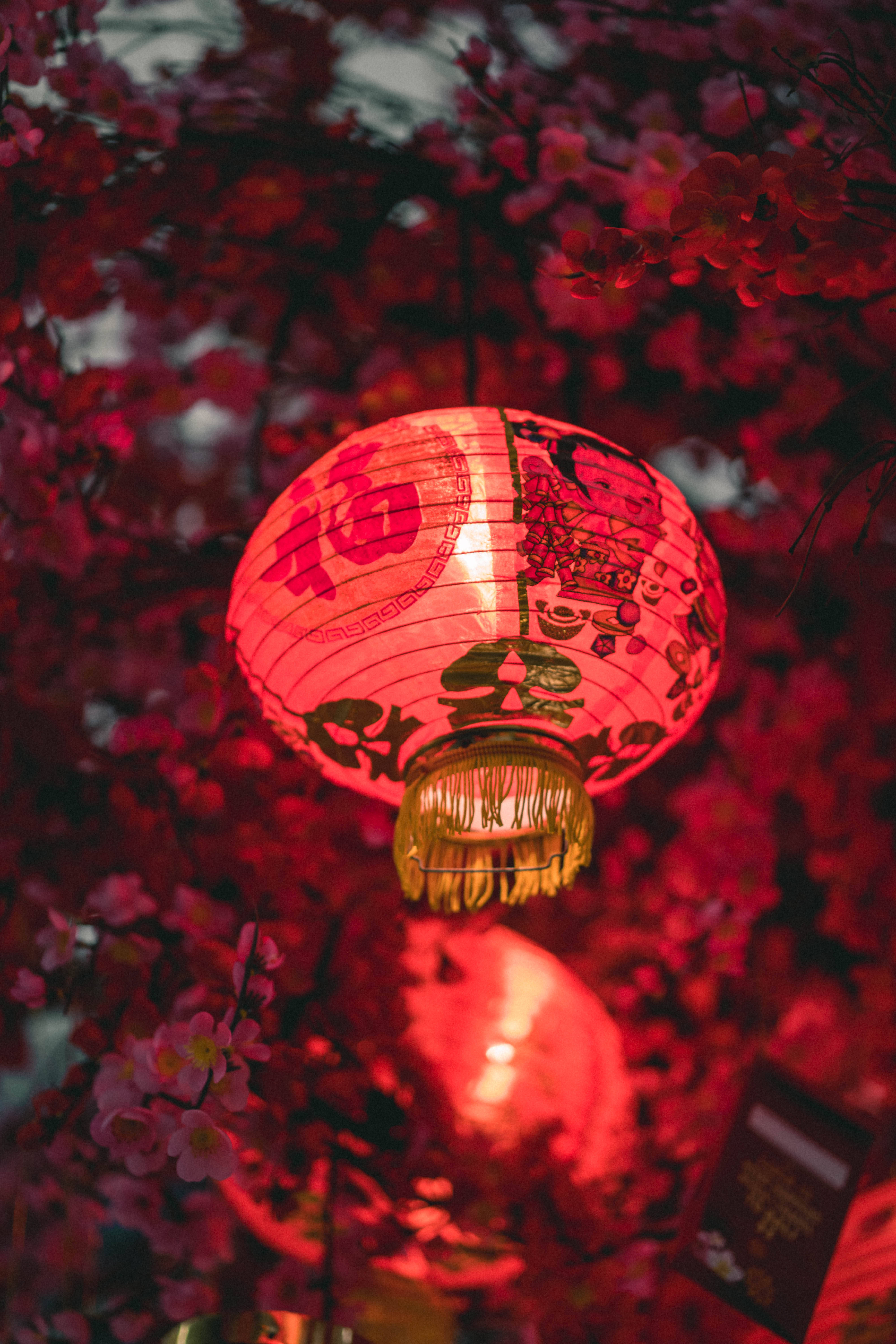 Chinese New Year Lantern Decoration, red paper lantern, Chinese characters, 5K Phone Wallpaper
