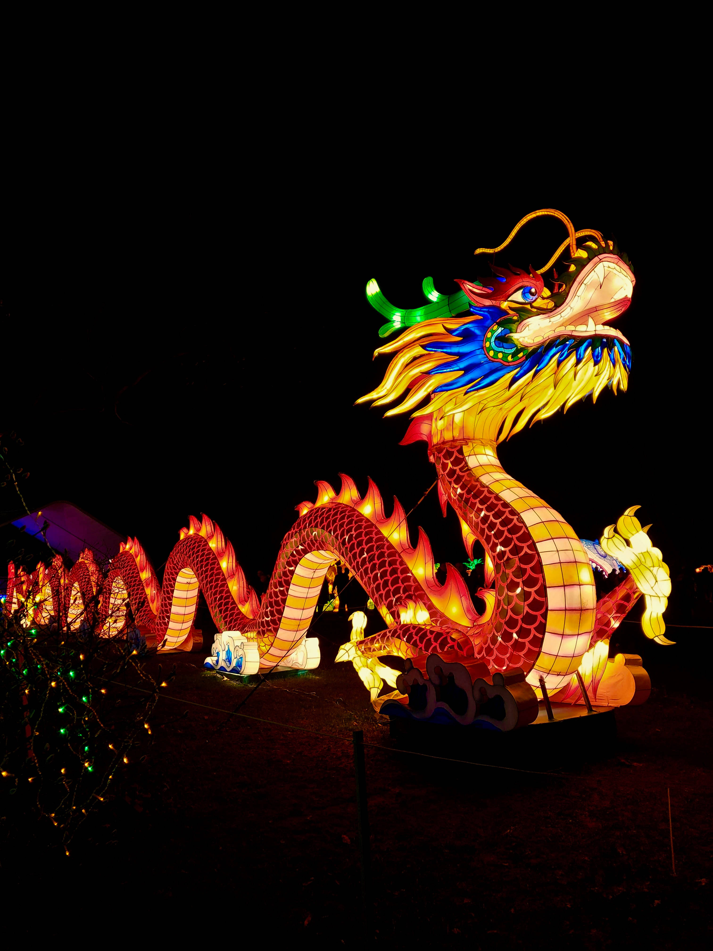 Chinese New Year, dragon lantern, illuminated, 4K Phone Wallpaper