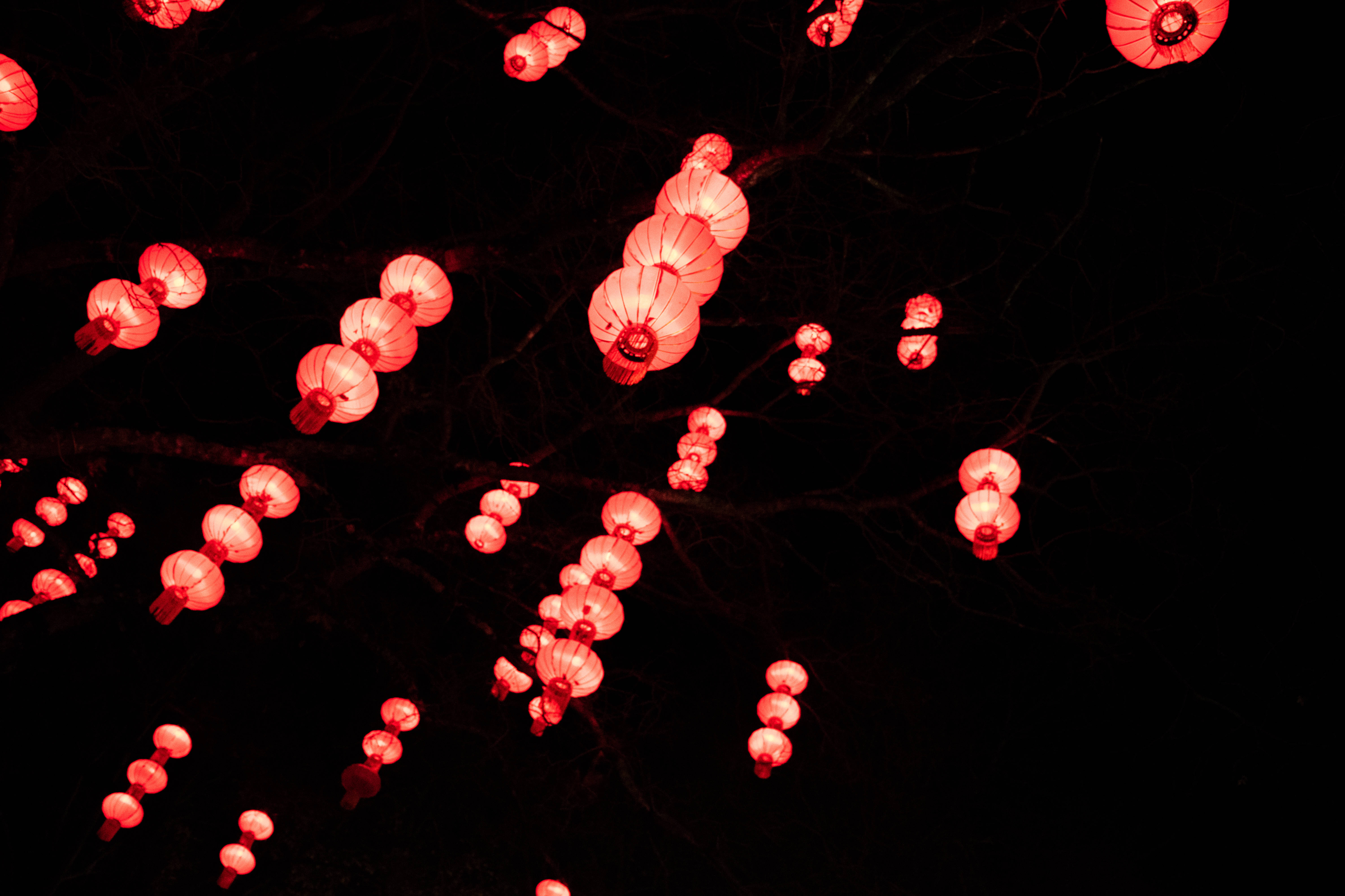 glowing lanterns, Chinese New Year, red paper lanterns, 5K Desktop Wallpaper