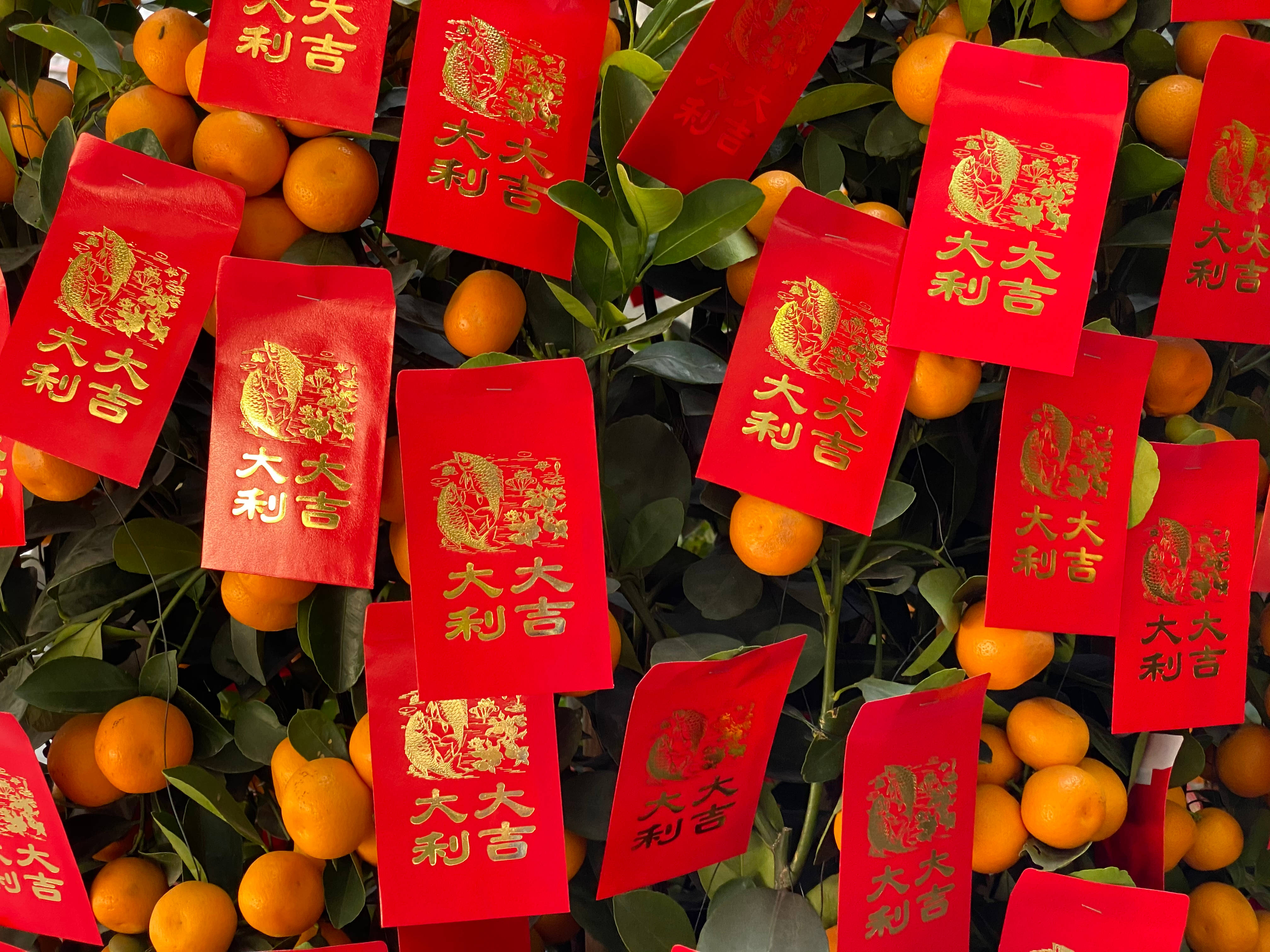 Chinese New Year, red envelopes, golden Chinese characters, 4K Desktop Wallpaper