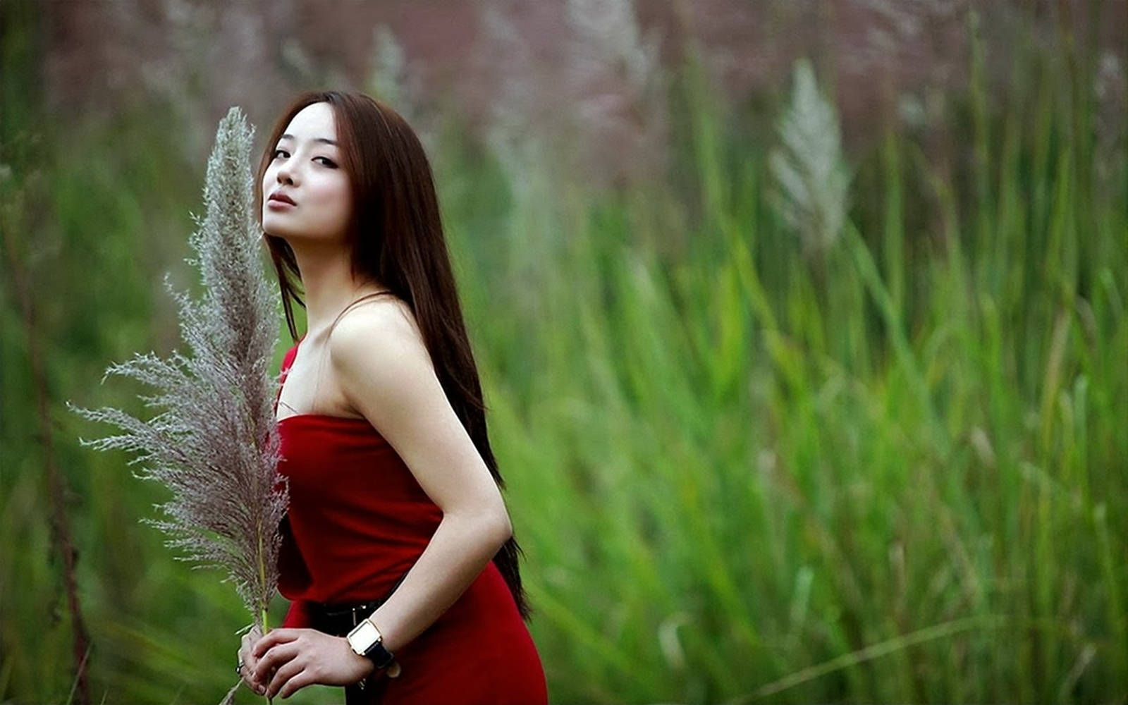 Chinese Girl, red dress, pampas grass, HD Desktop Wallpaper