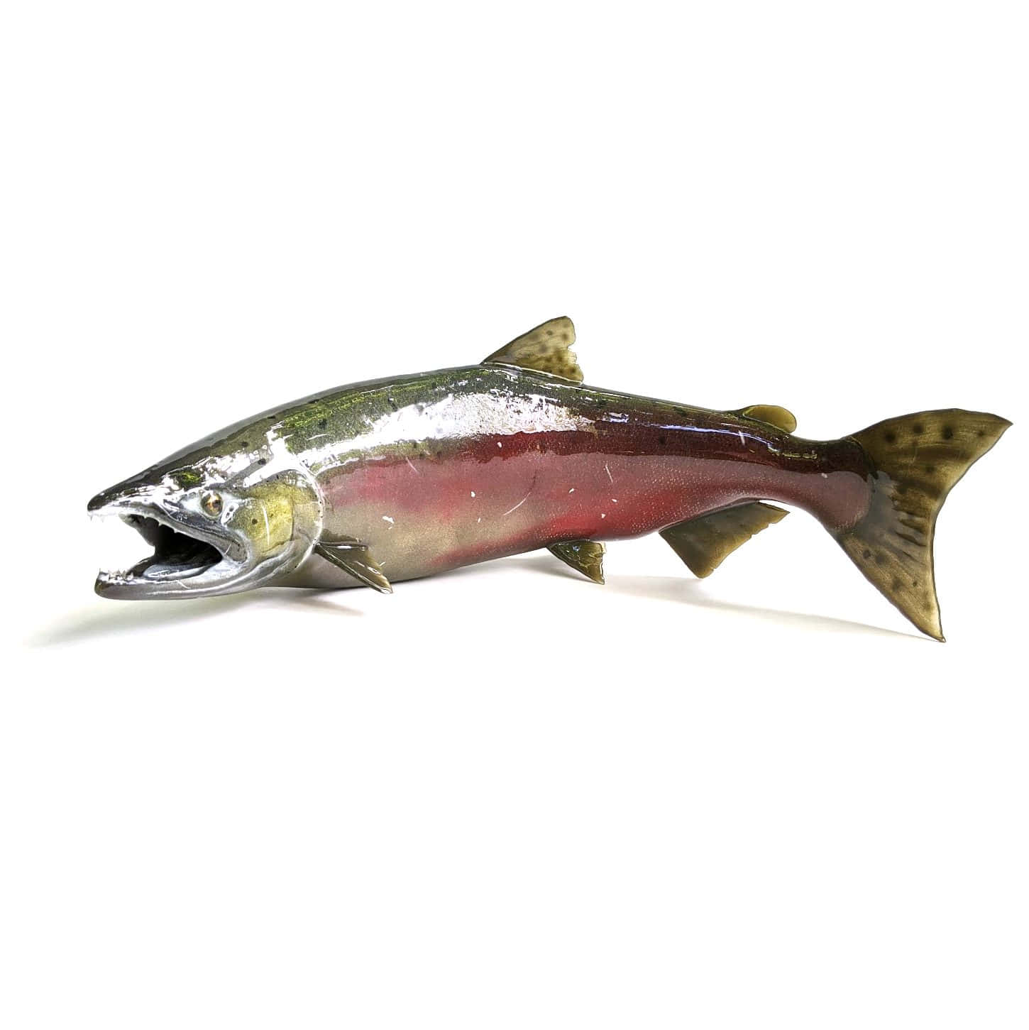 Chinook Salmon, glossy ceramic, silver head, HD Phone Wallpaper