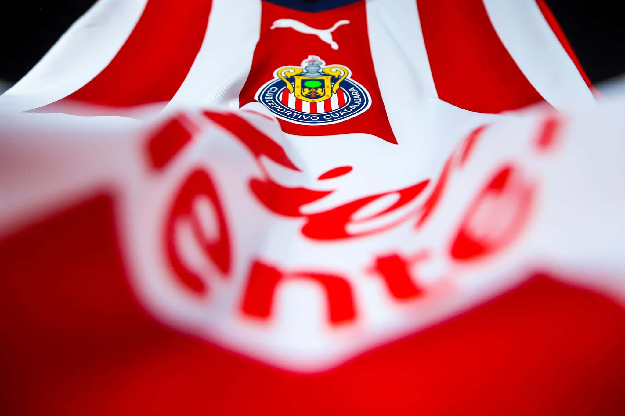 Chivas, soccer team, crestand jersey, Full HD Desktop Wallpaper