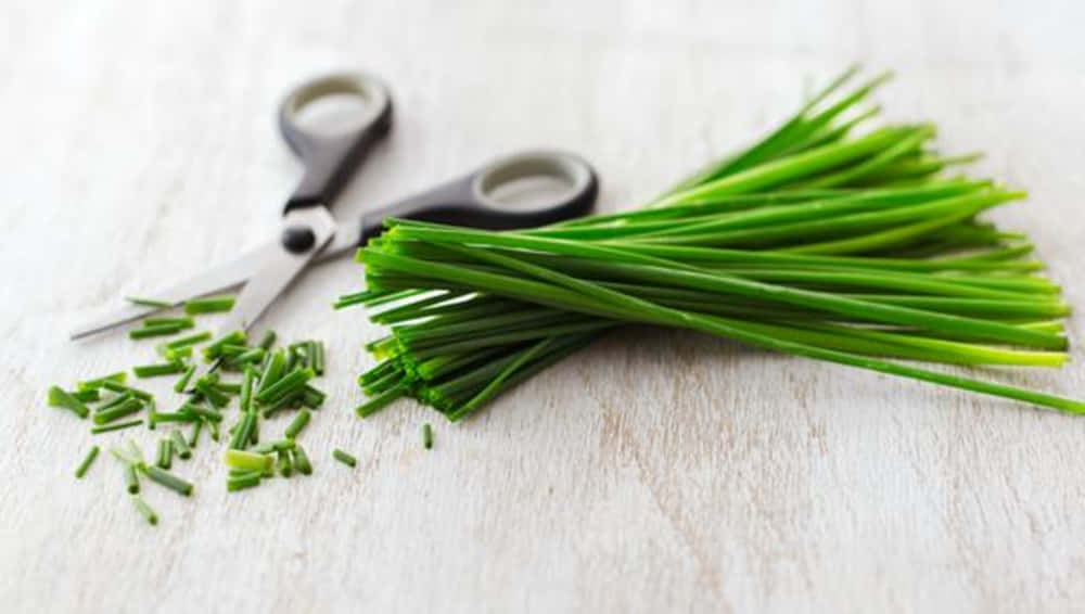fresh green chives, black-handled scissors, light wooden surface, SD Desktop Wallpaper