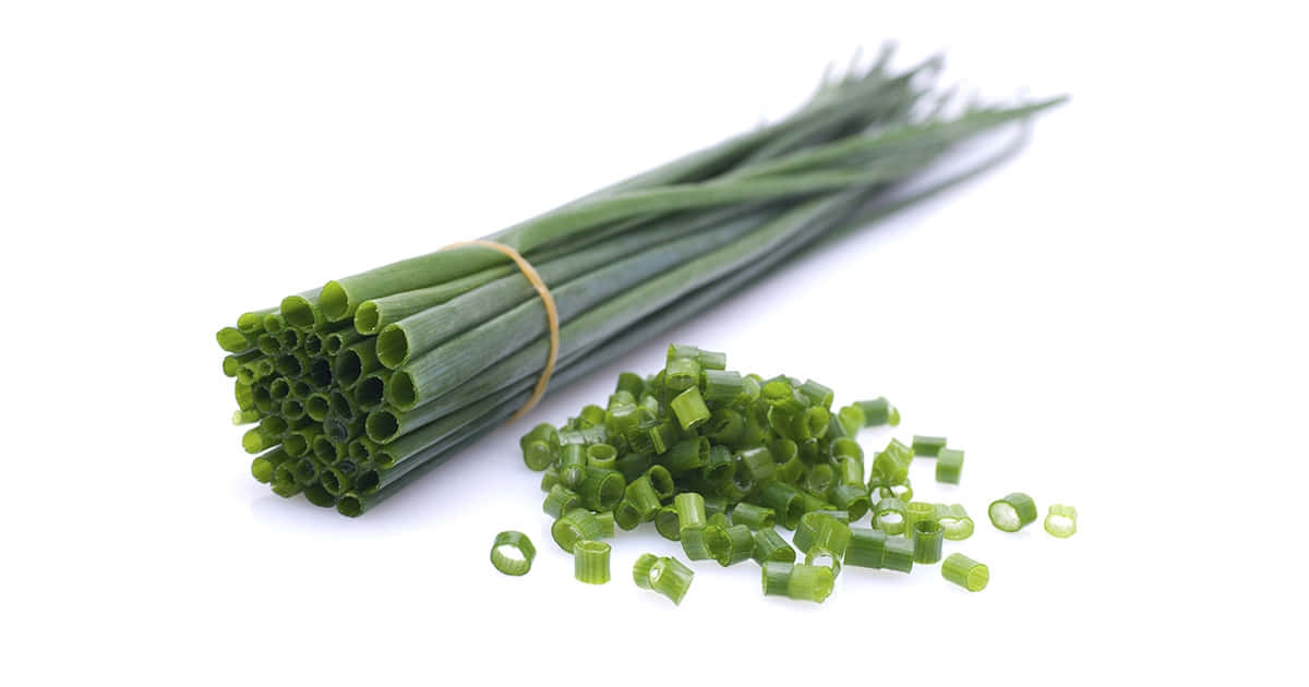 green chives, green onions, rubber band, SD Desktop Wallpaper