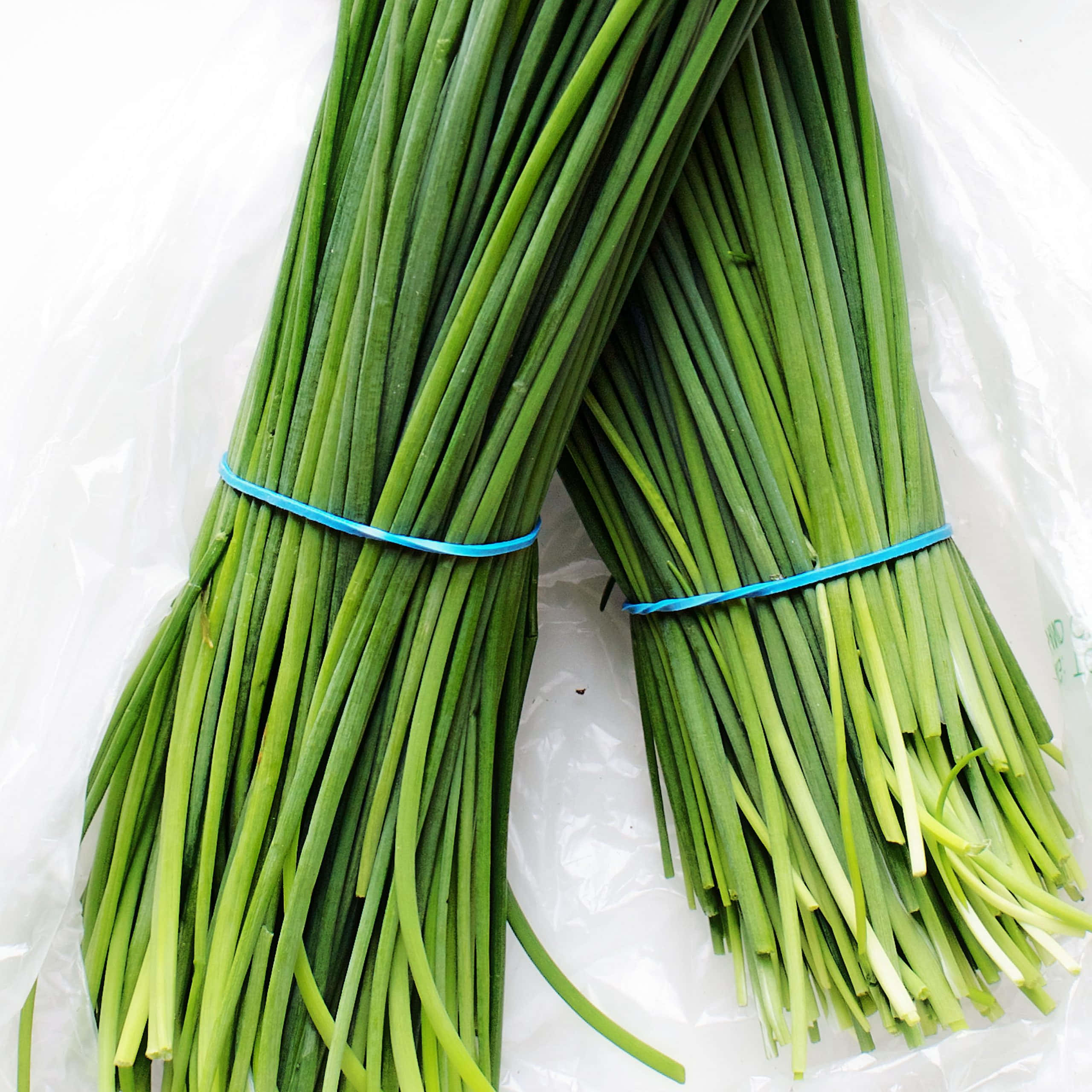 chives, blue rubber bands, crinkled white plastic surface, 2K Desktop Wallpaper