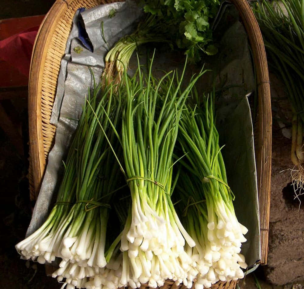 fresh green chives, white roots, woven bamboo basket, SD Desktop Wallpaper