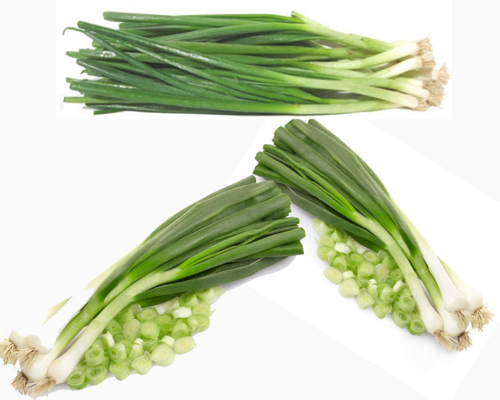 onion chives, fresh green onions, clean white background, SD Desktop Wallpaper