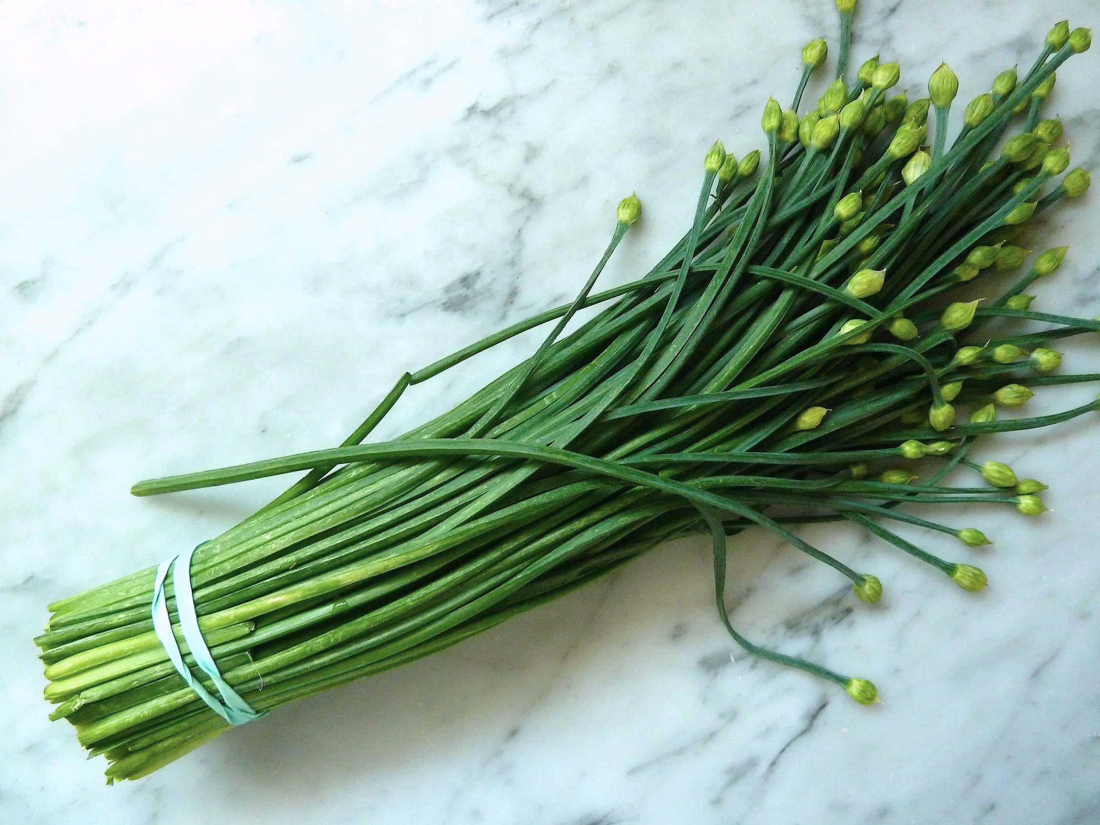 green chives, yellow green blossoms, white marble surface, Full HD Desktop Wallpaper