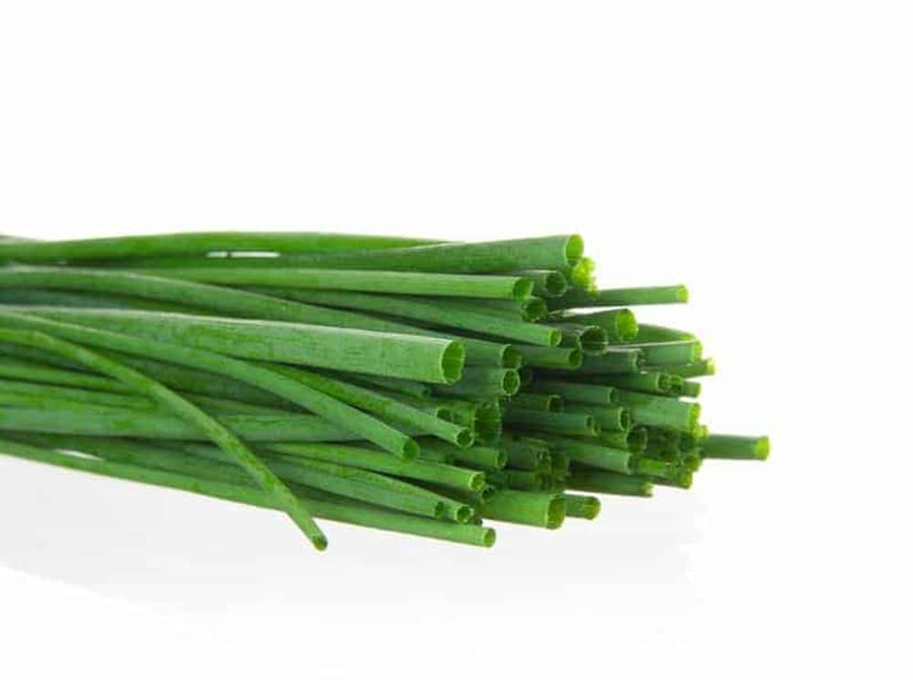 fresh long green chives vegetable, vibrant green chives, hollow stems, SD Desktop Wallpaper