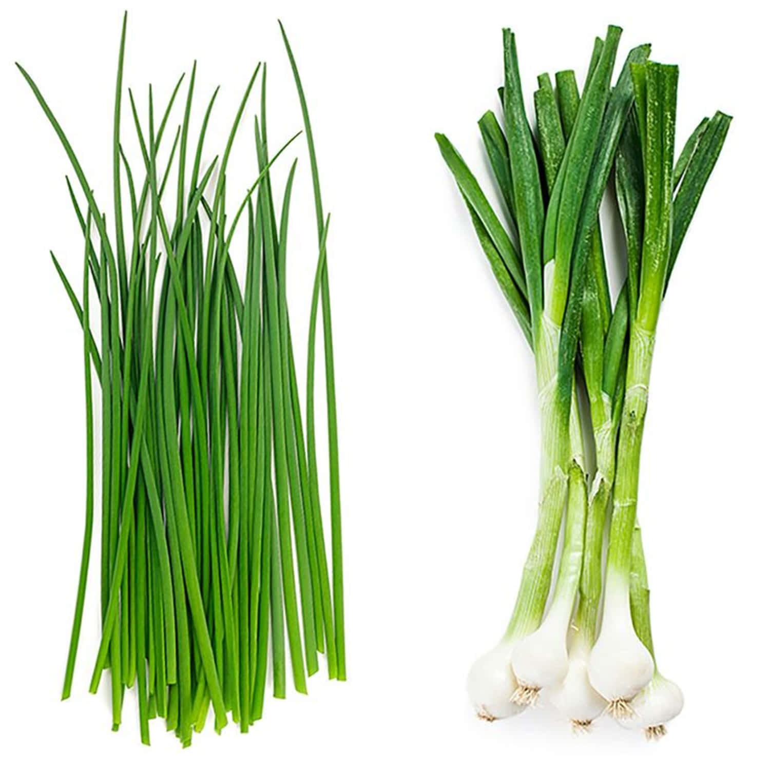 chives, spring onions, white bulbs, HD Desktop Wallpaper