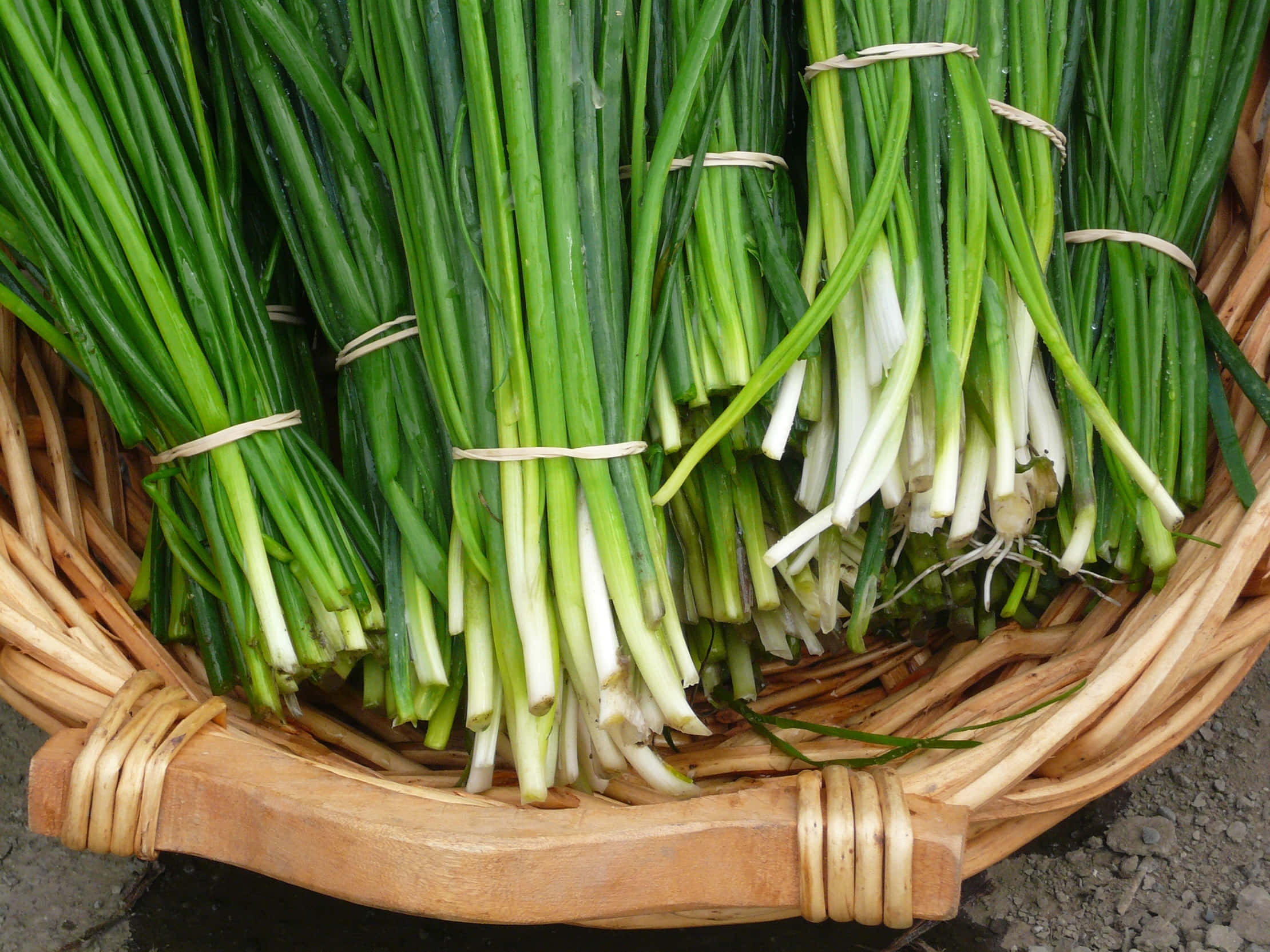 green chives, rattan basket, woven wicker basket, Full HD Desktop Wallpaper
