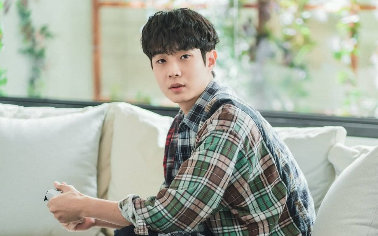 Choi Woo Shik, plaid shirt, white couch, HD Desktop Wallpaper